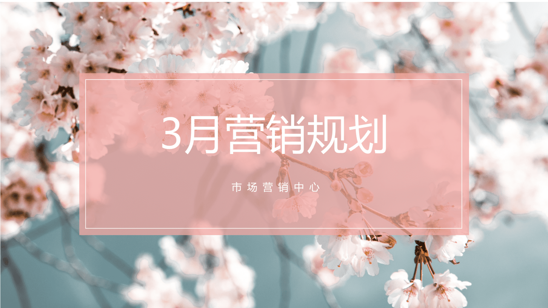 零售3月营销规划