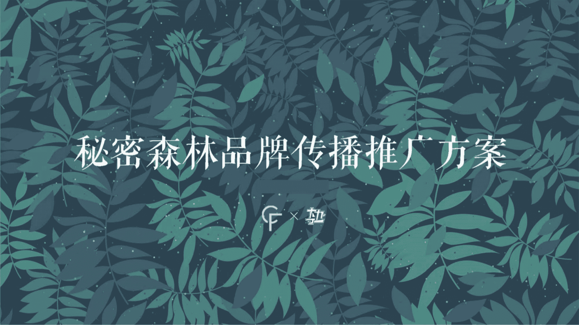 秘密森林内衣品牌推广方案