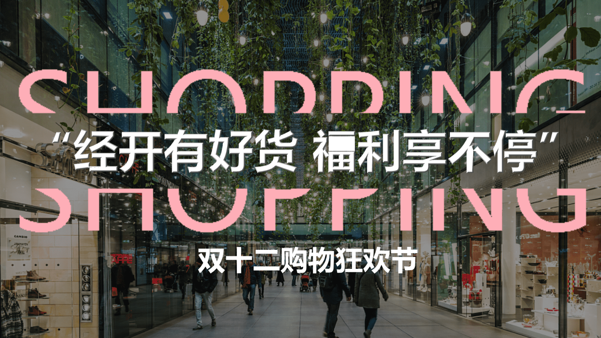 某地区经开有好货 福利享不停 双十二购物狂欢节主题活动方案