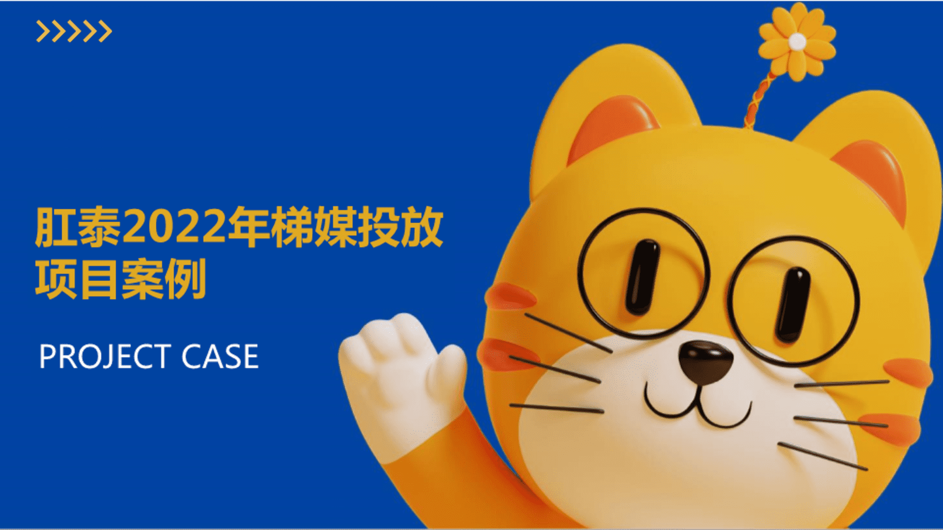 2022肛泰大橘猫电梯投放结案报告
