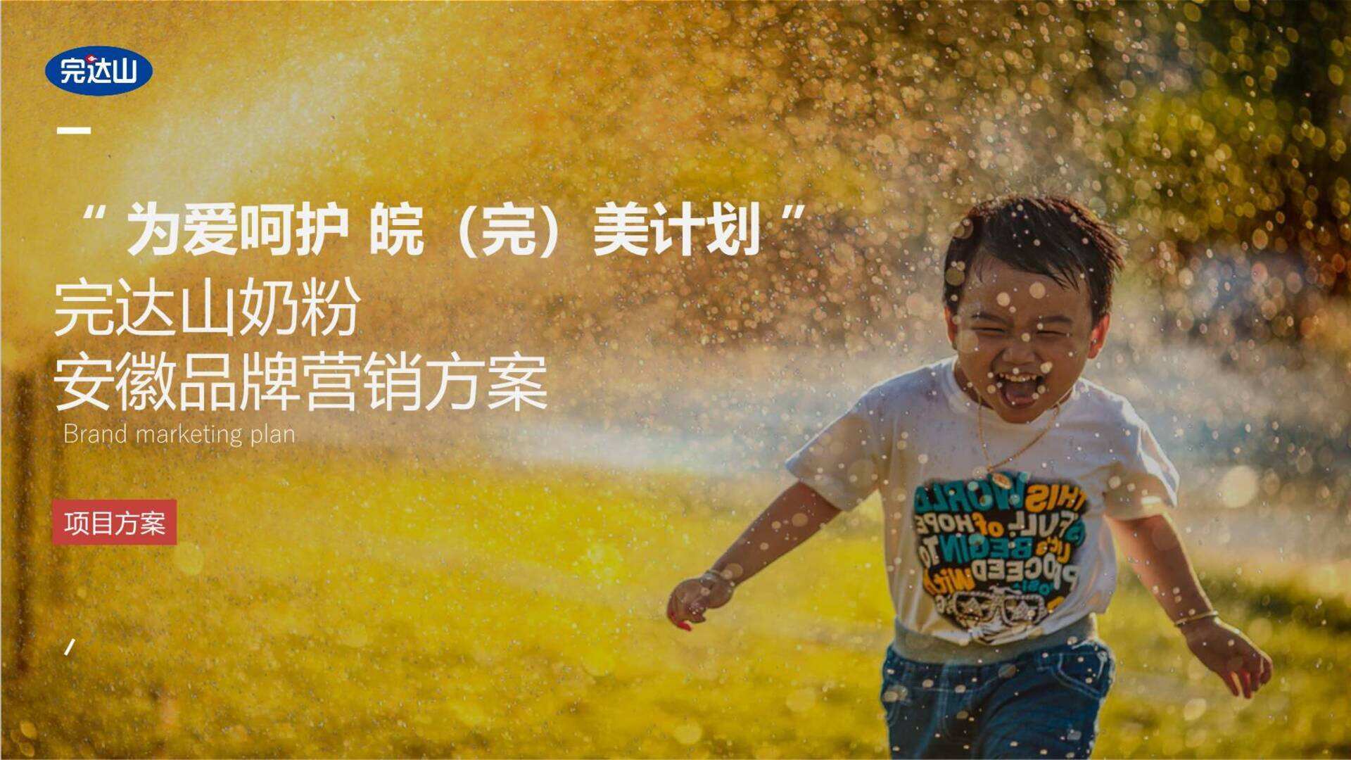 完达山奶粉品牌营销方案