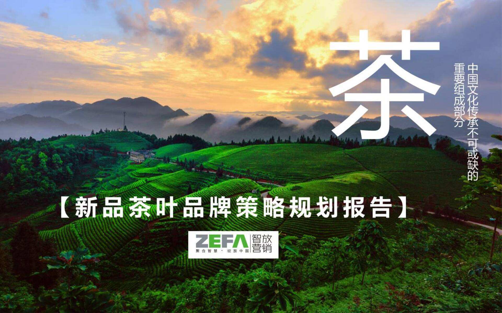 茶叶品牌策略规划案