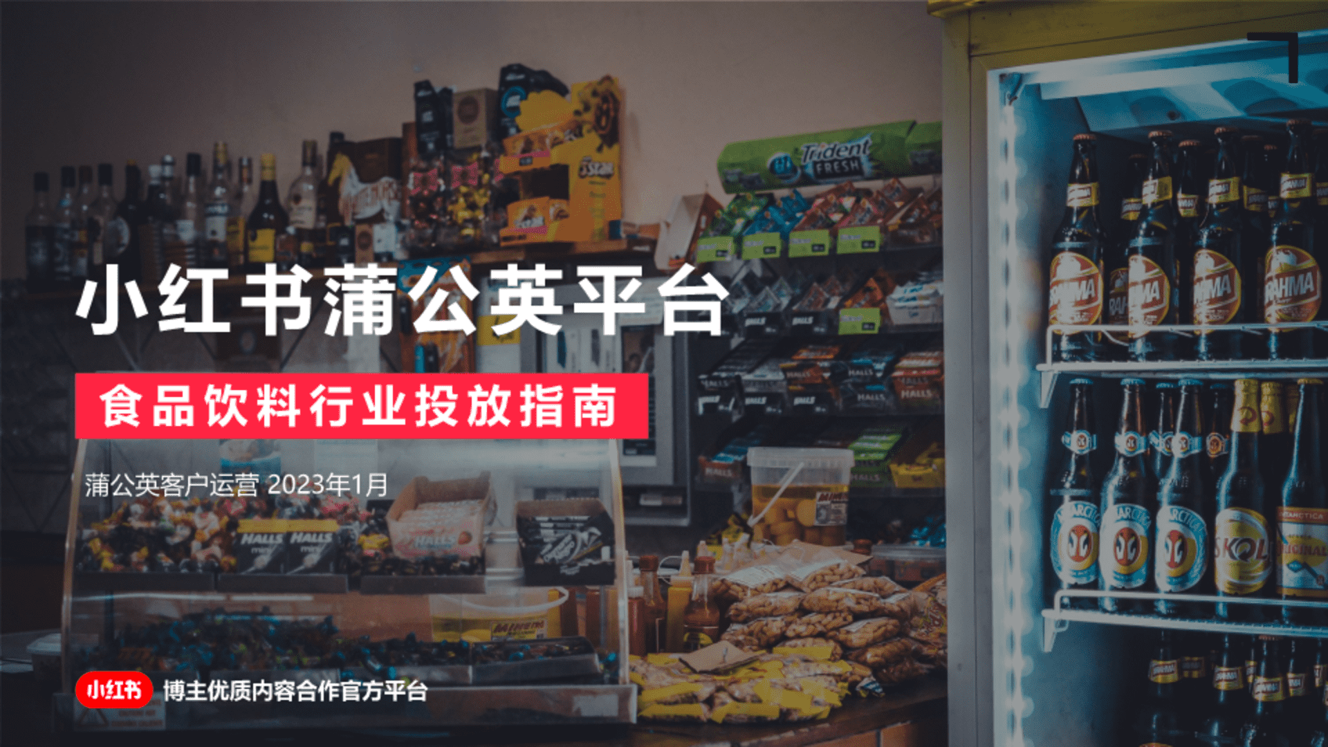 2022年小红书蒲公英食饮行业投放指南