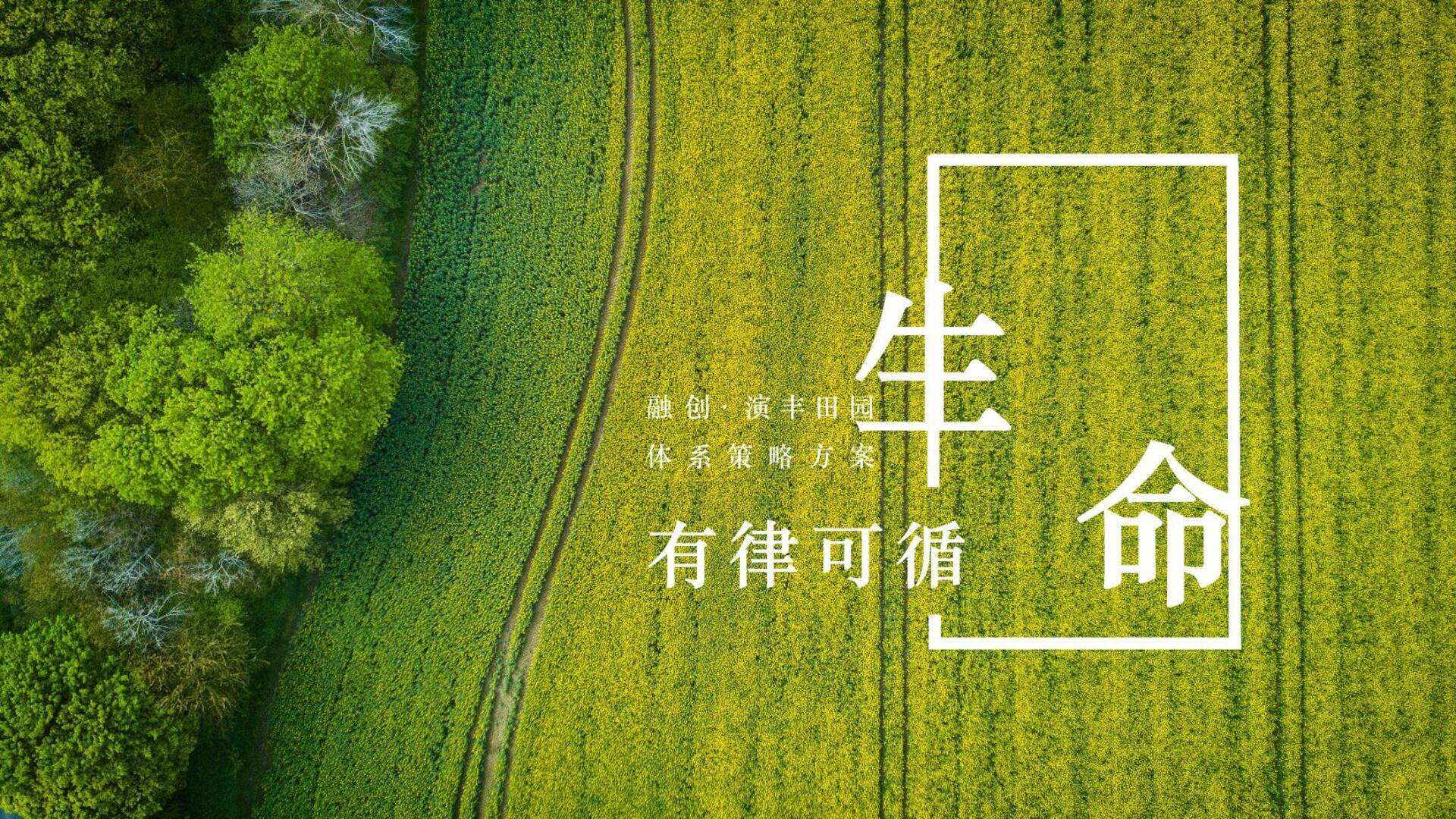 融创演丰田园体系策略方案