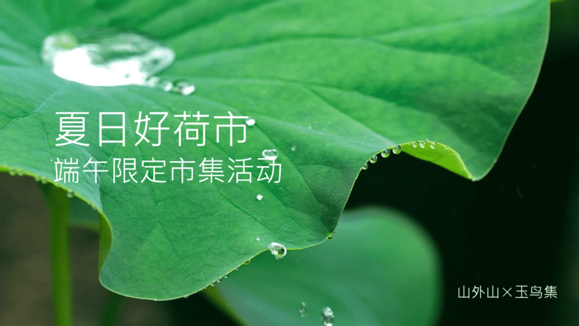 2024夏日好荷市端午限定荷主题市集活动策划案