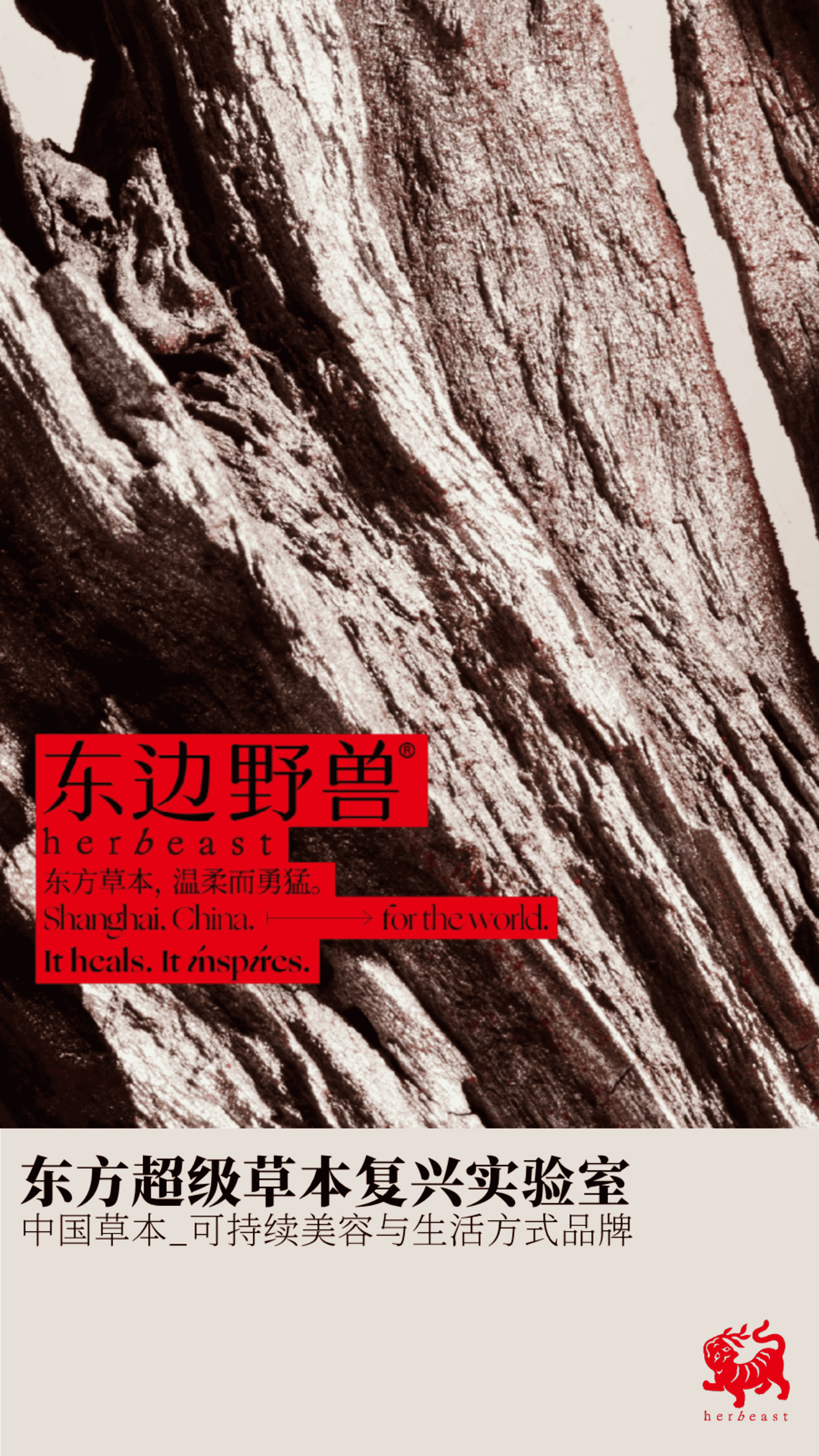 护肤品牌东边野兽品牌手册