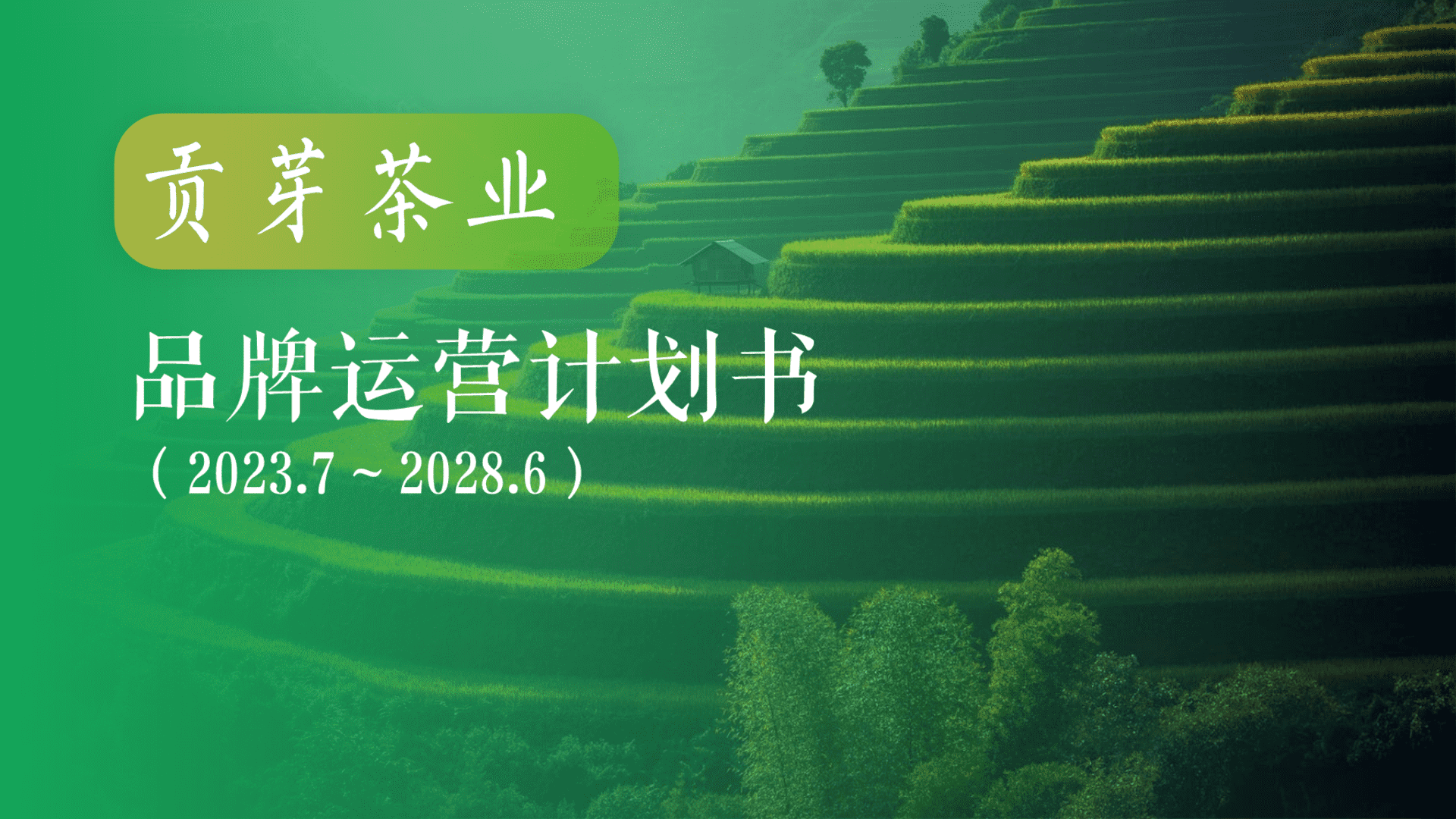 2023-2028贡芽茶业品牌运营计划书整合营销策略方案