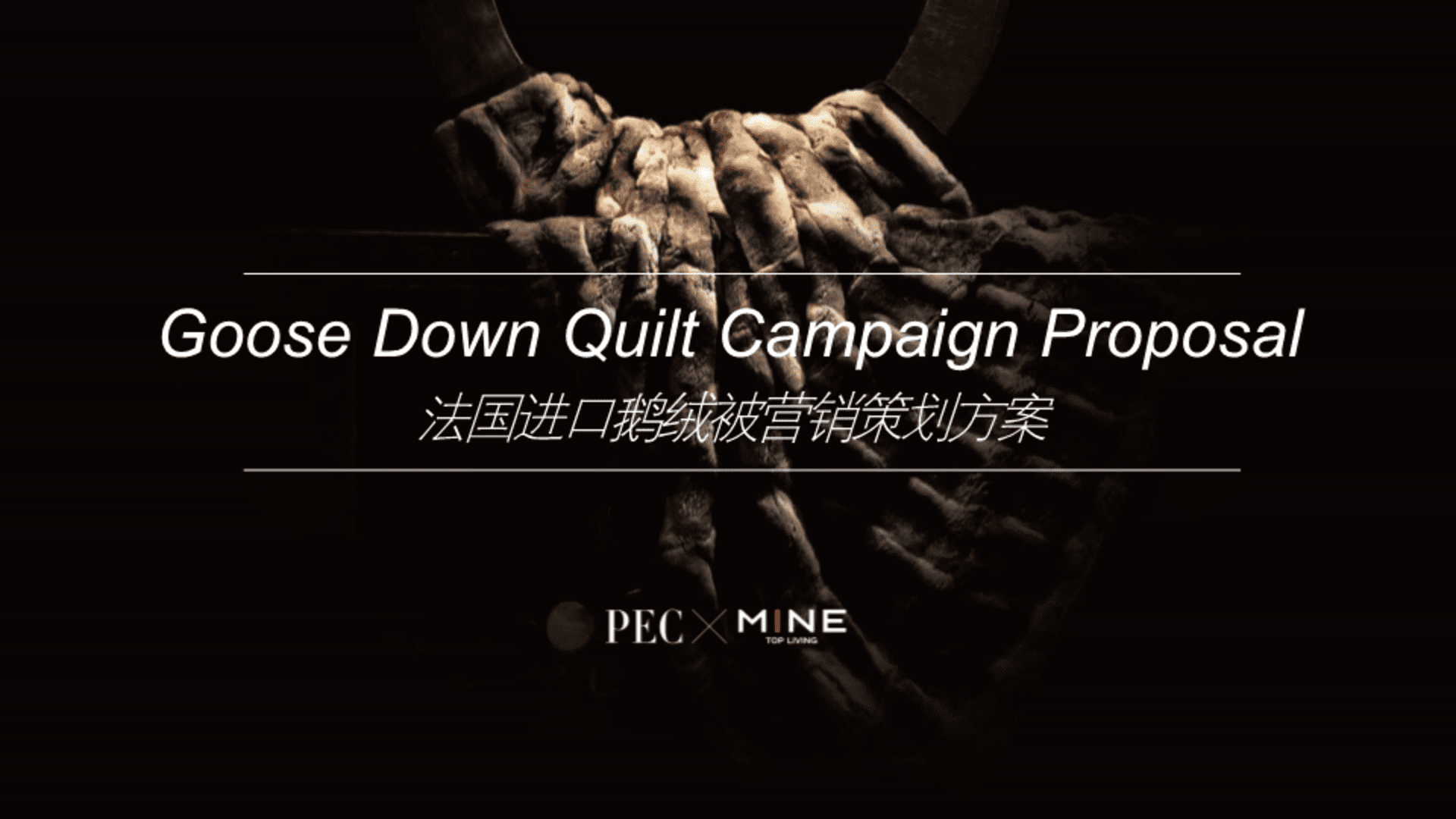 法国进口鹅纸被营销策划案MINE Goose Down Quilt Campaign Proposal