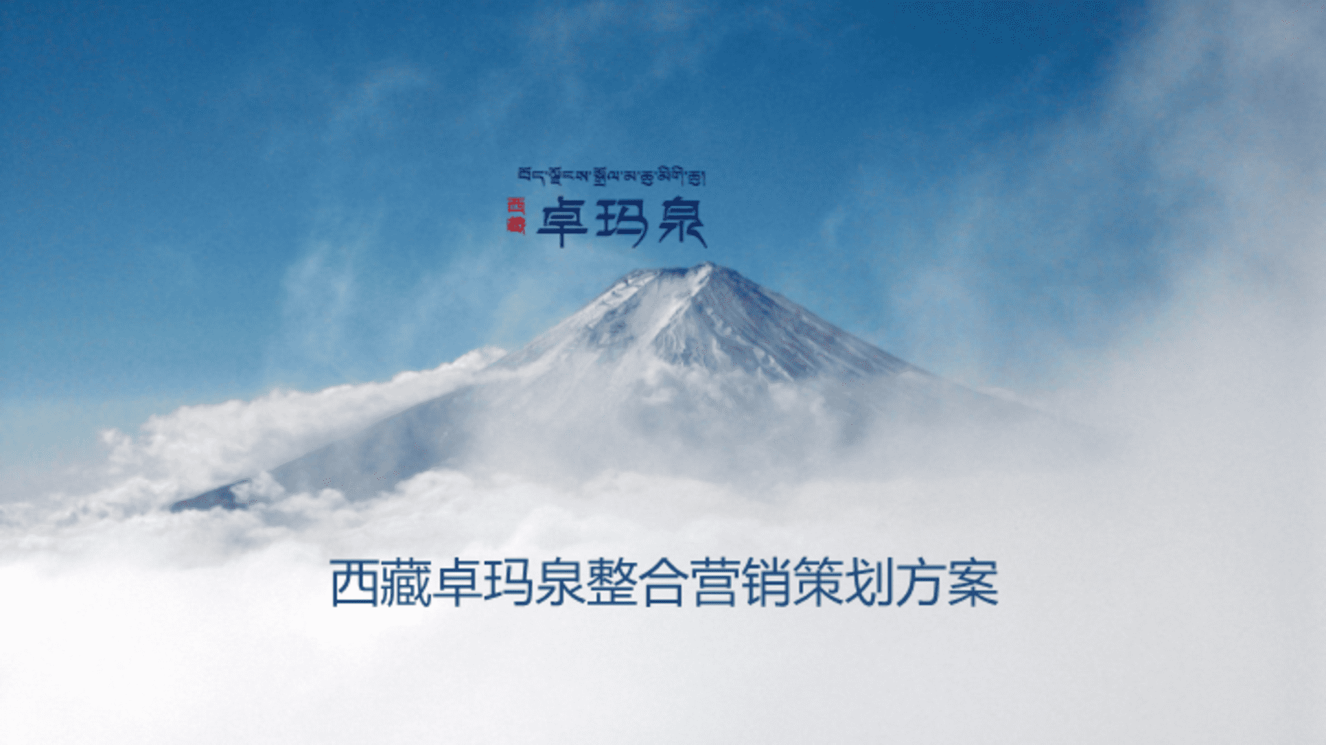 西藏卓玛泉整合营销策划方案