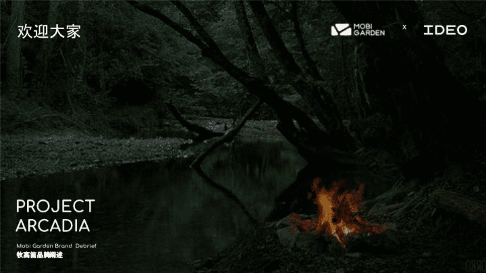 牧高笛户外品牌定位方案