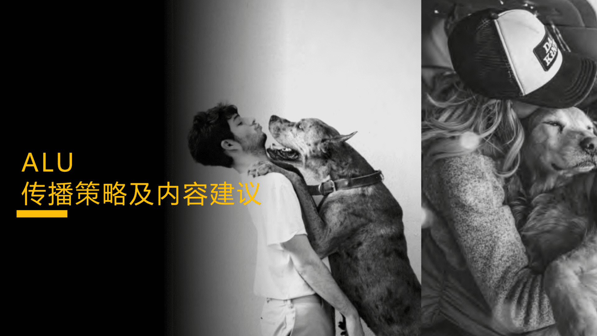 ALU宠物品牌策略及内容传播建议