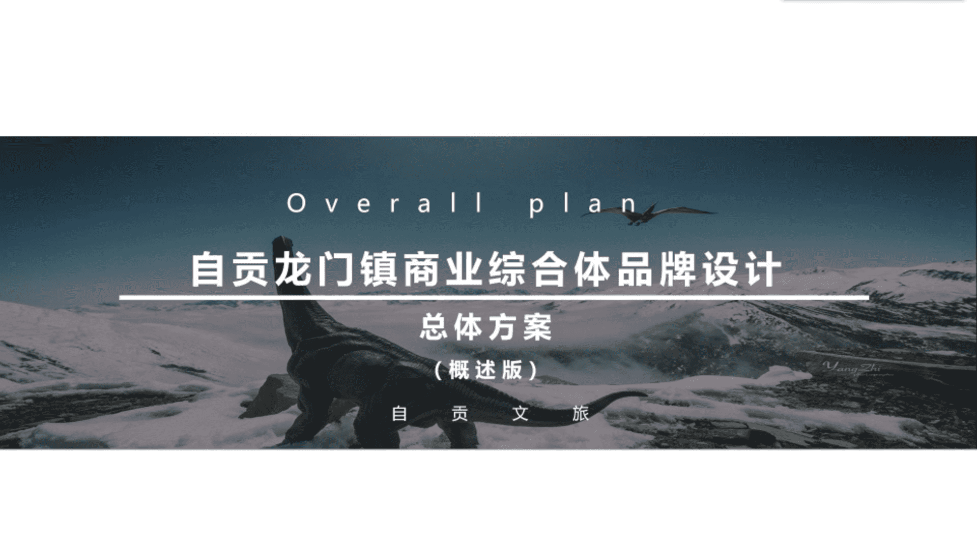 自贡龙门镇商业综合体品牌设计及应用总体方案