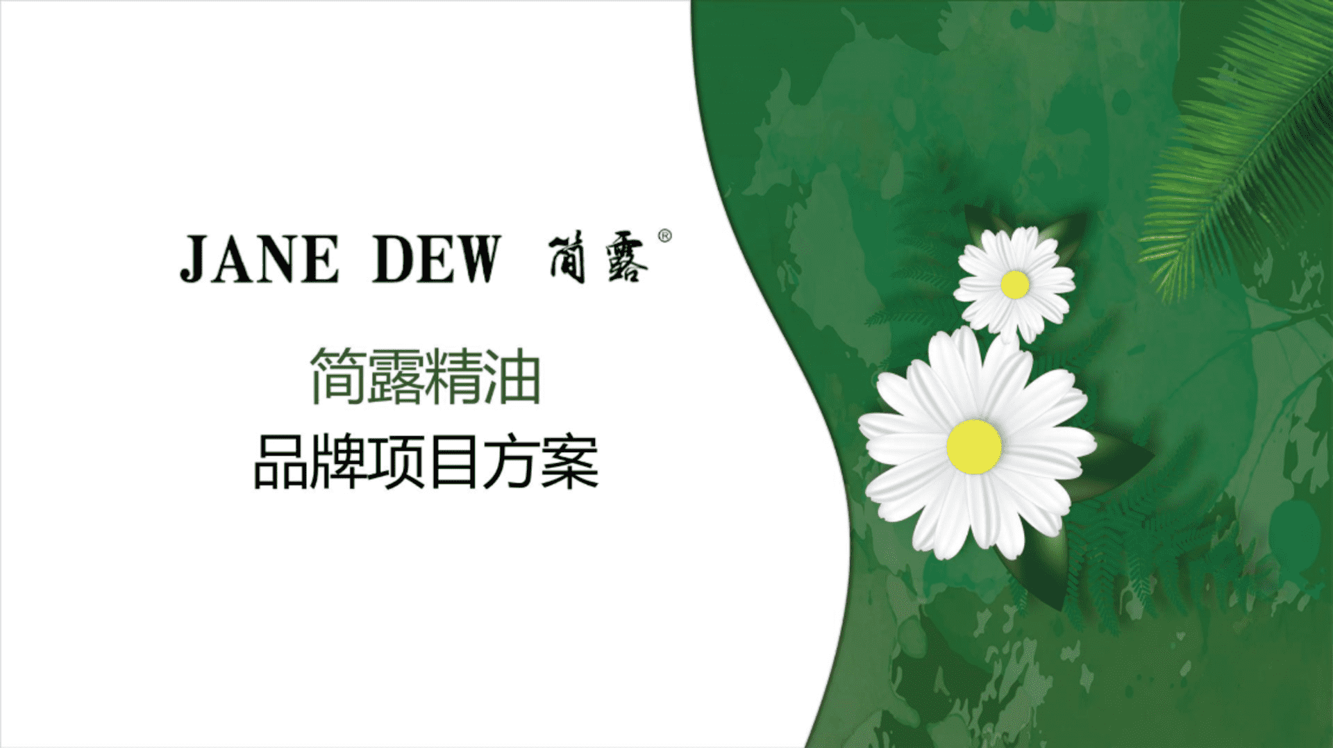 精油品牌项目抖音账号内容直播营销方案