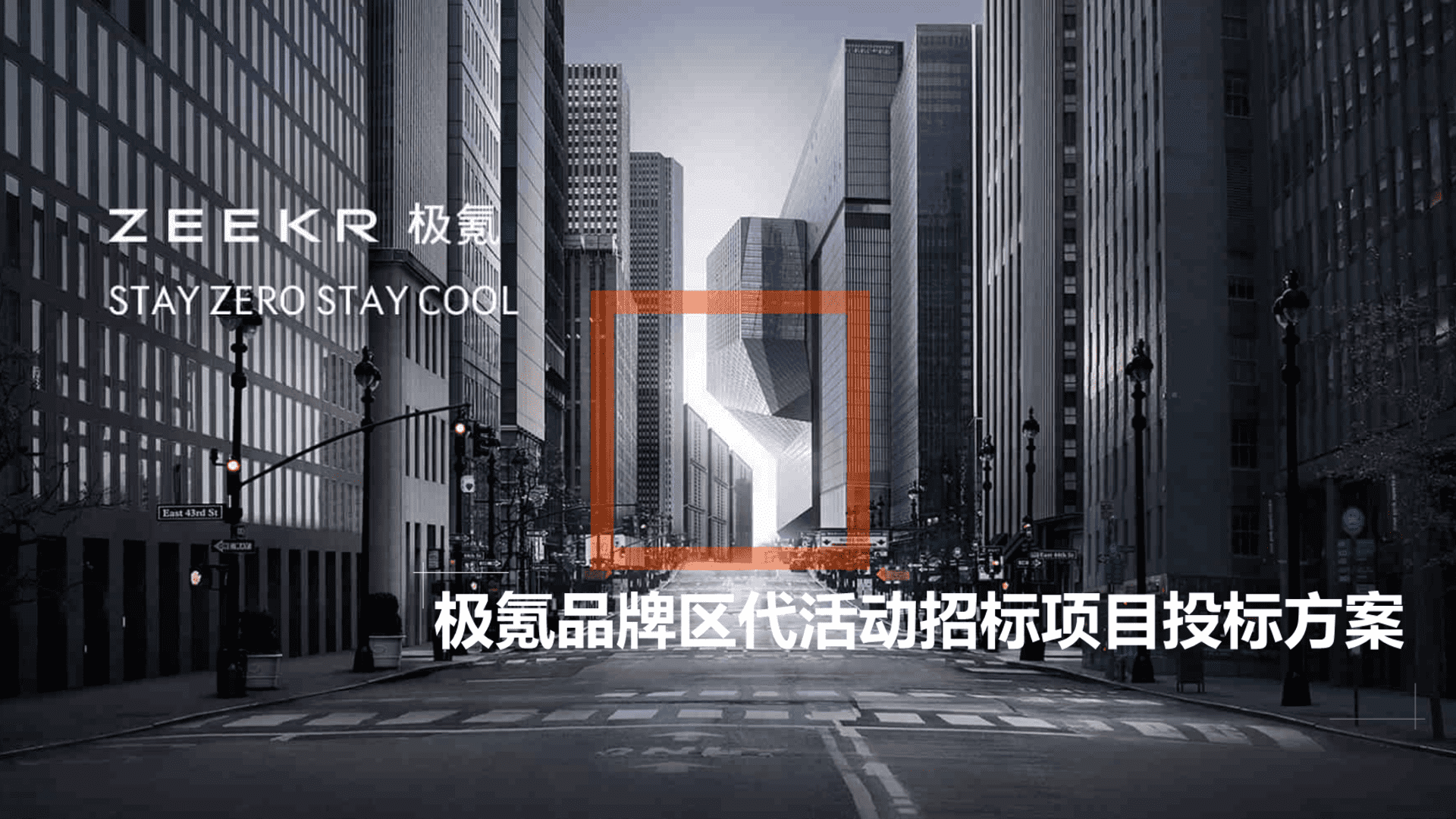 极氪品牌区代活动招标项目投标方案