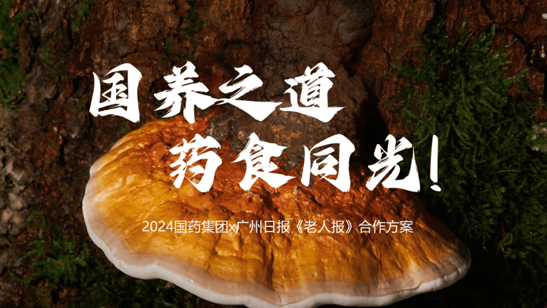 2024国养之道 药食同光