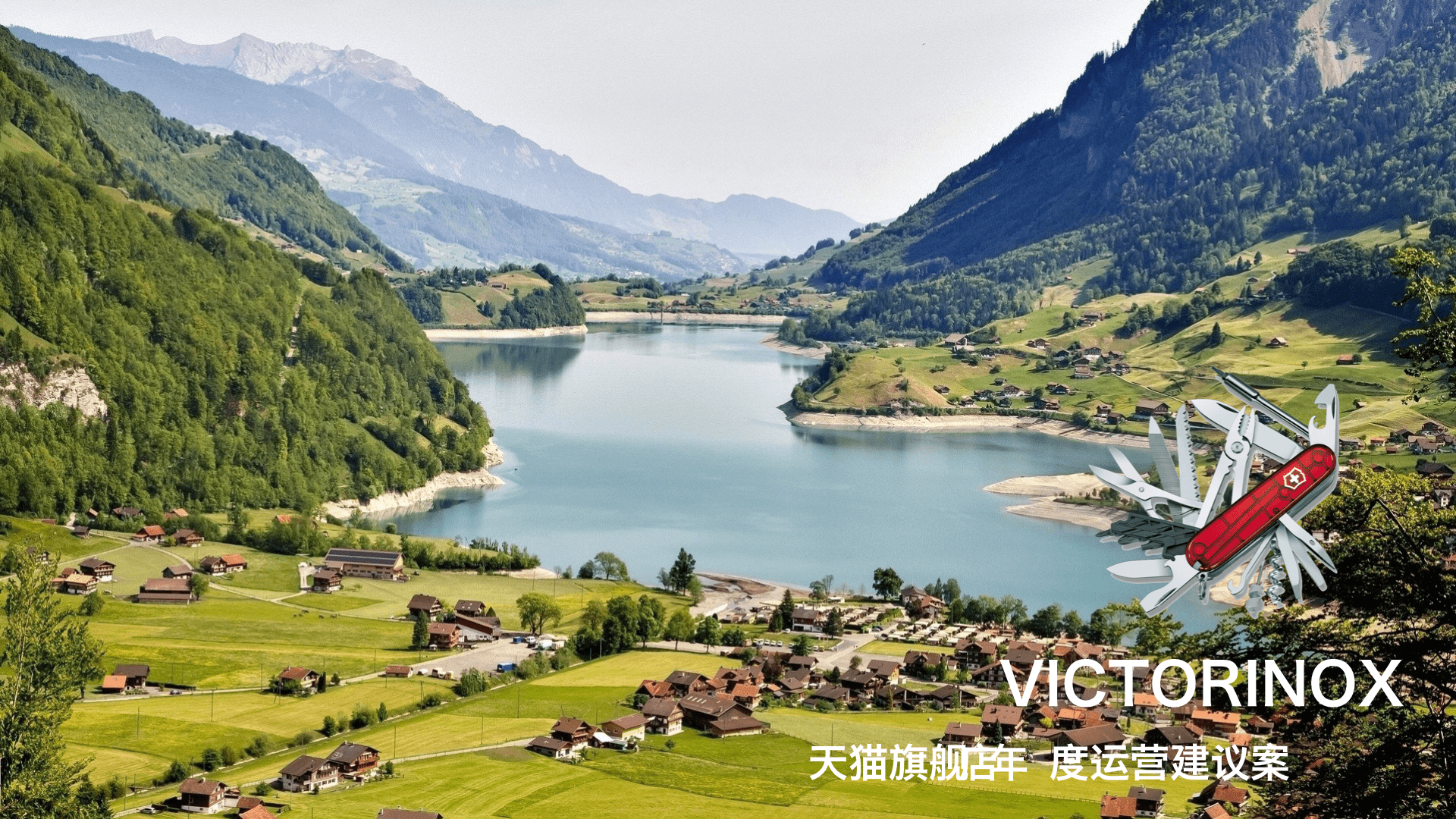 VICTORINO刀具X天猫旗舰店年度运营建议案