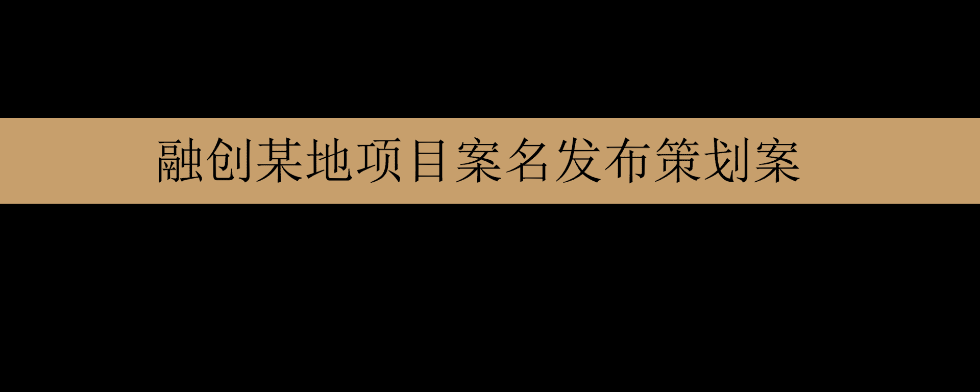 融创某地项目案名发布策划案