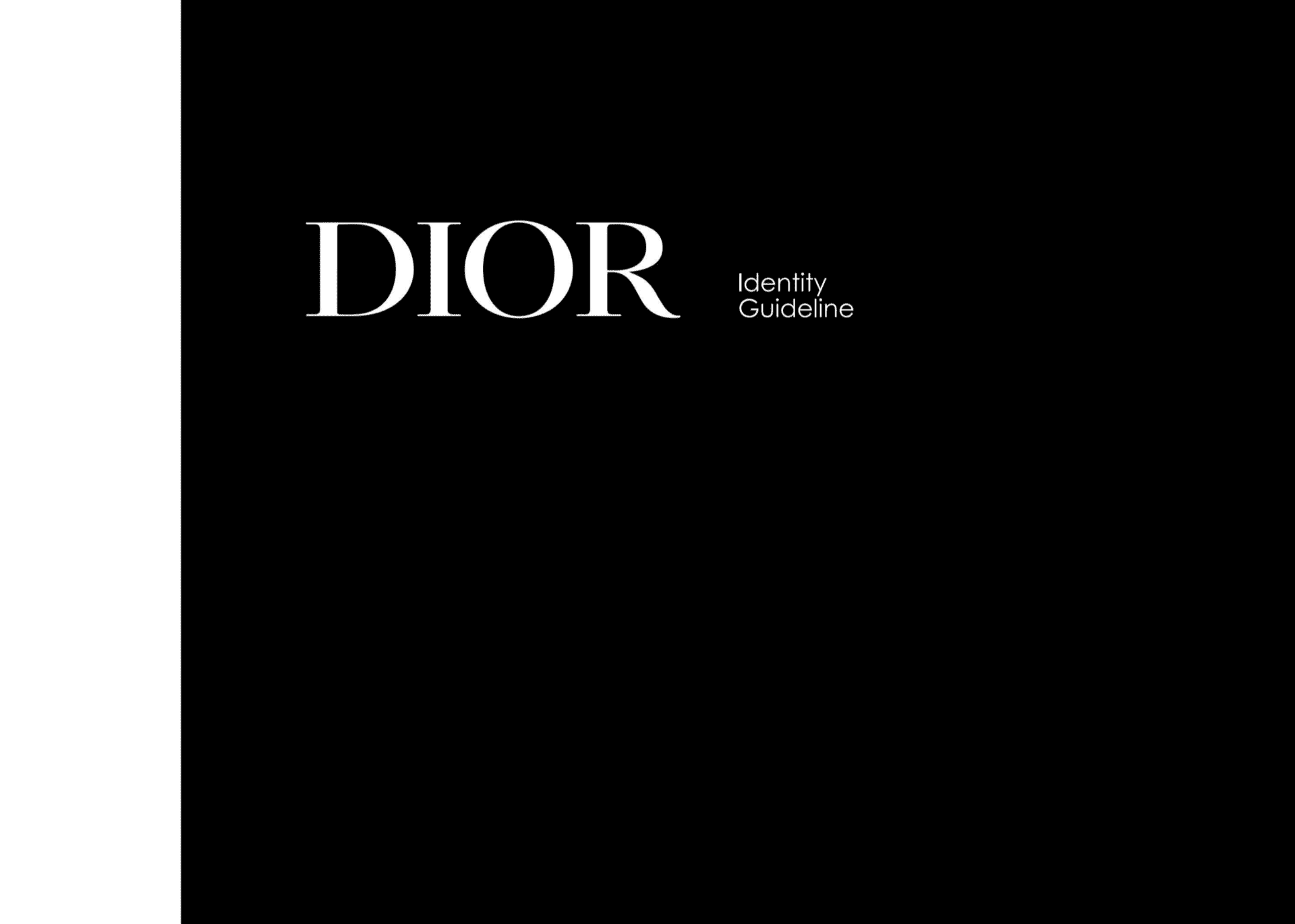 Dior 形象指南品牌VIS规范
