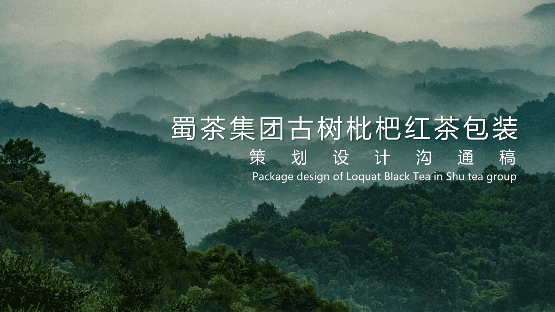 2024蜀茶集团古树枇杷红茶包装策划设计沟通稿