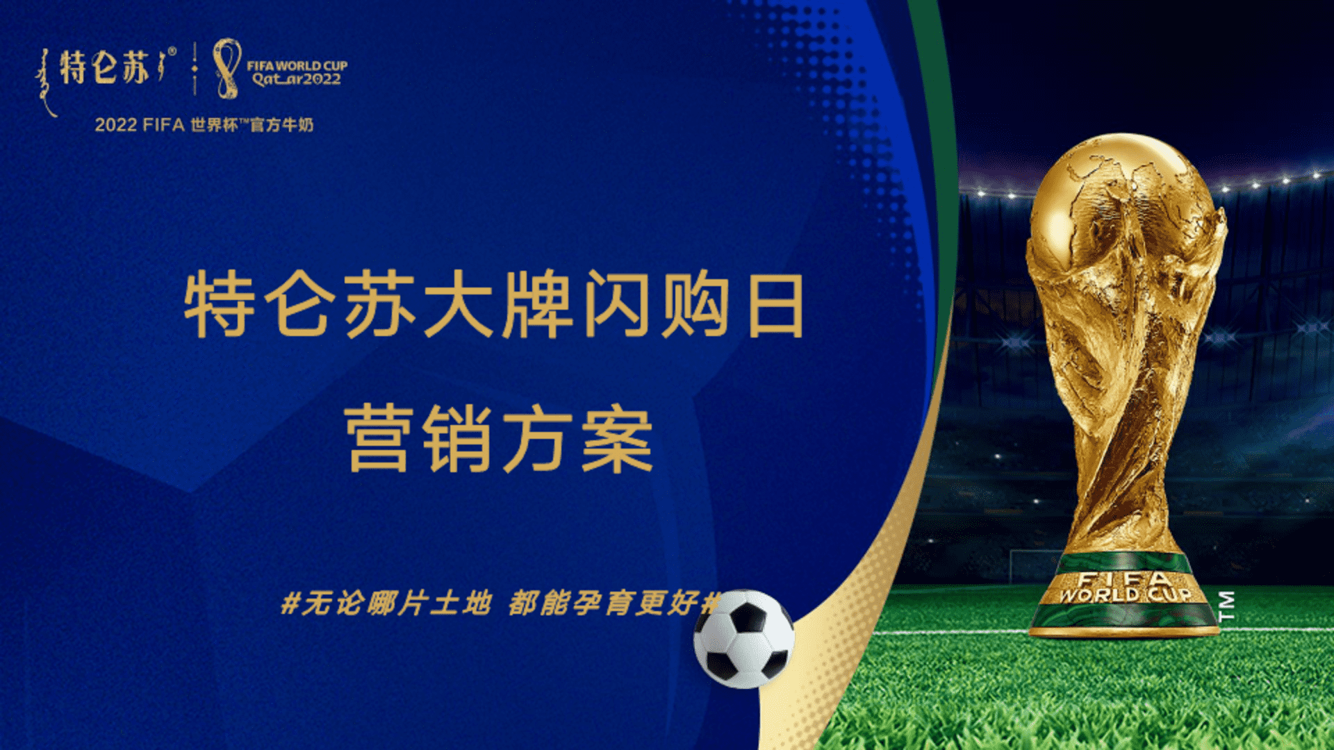 特仑苏大牌闪购日营销方案