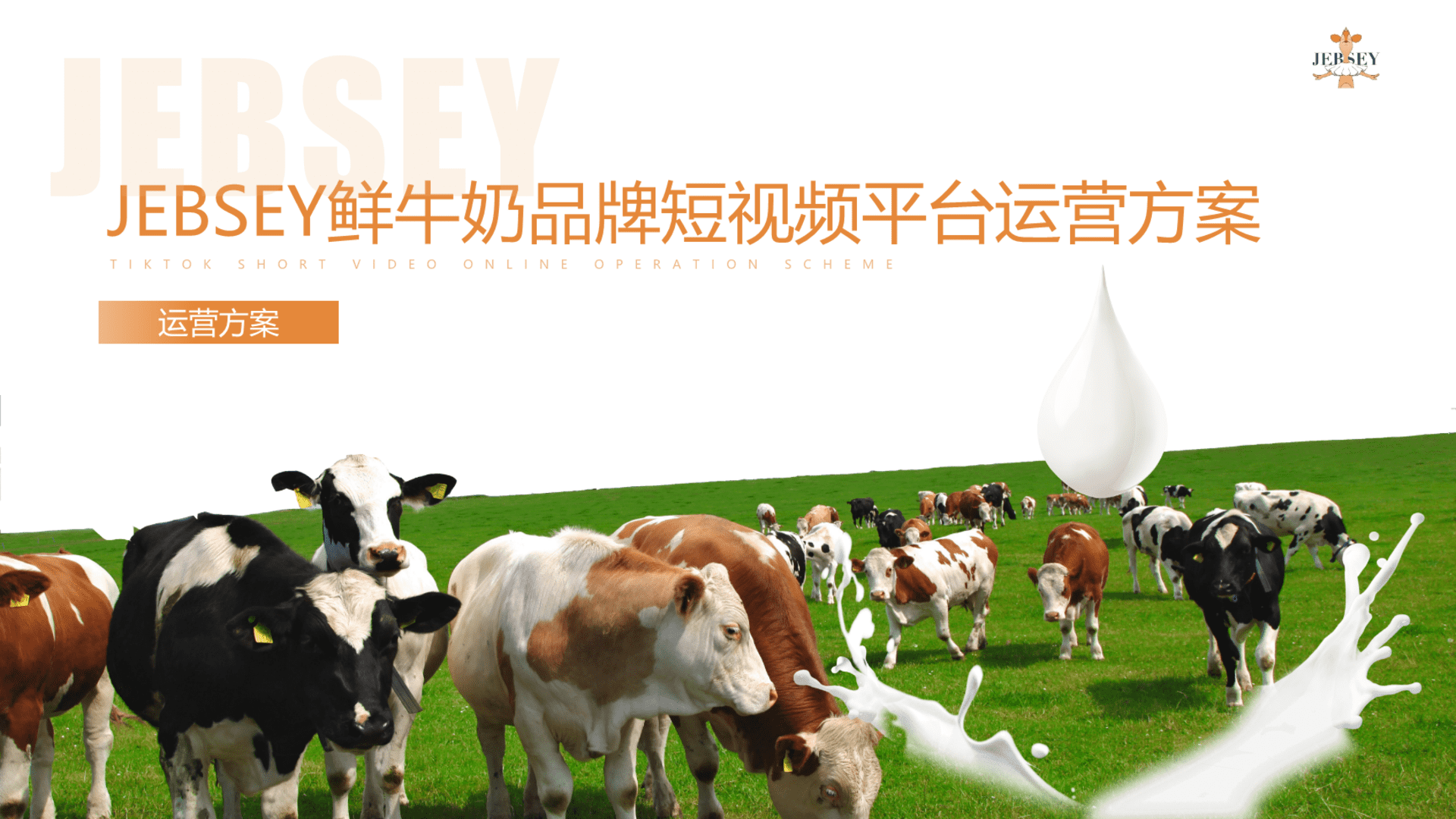 牛奶品牌抖音短视频运营规划案