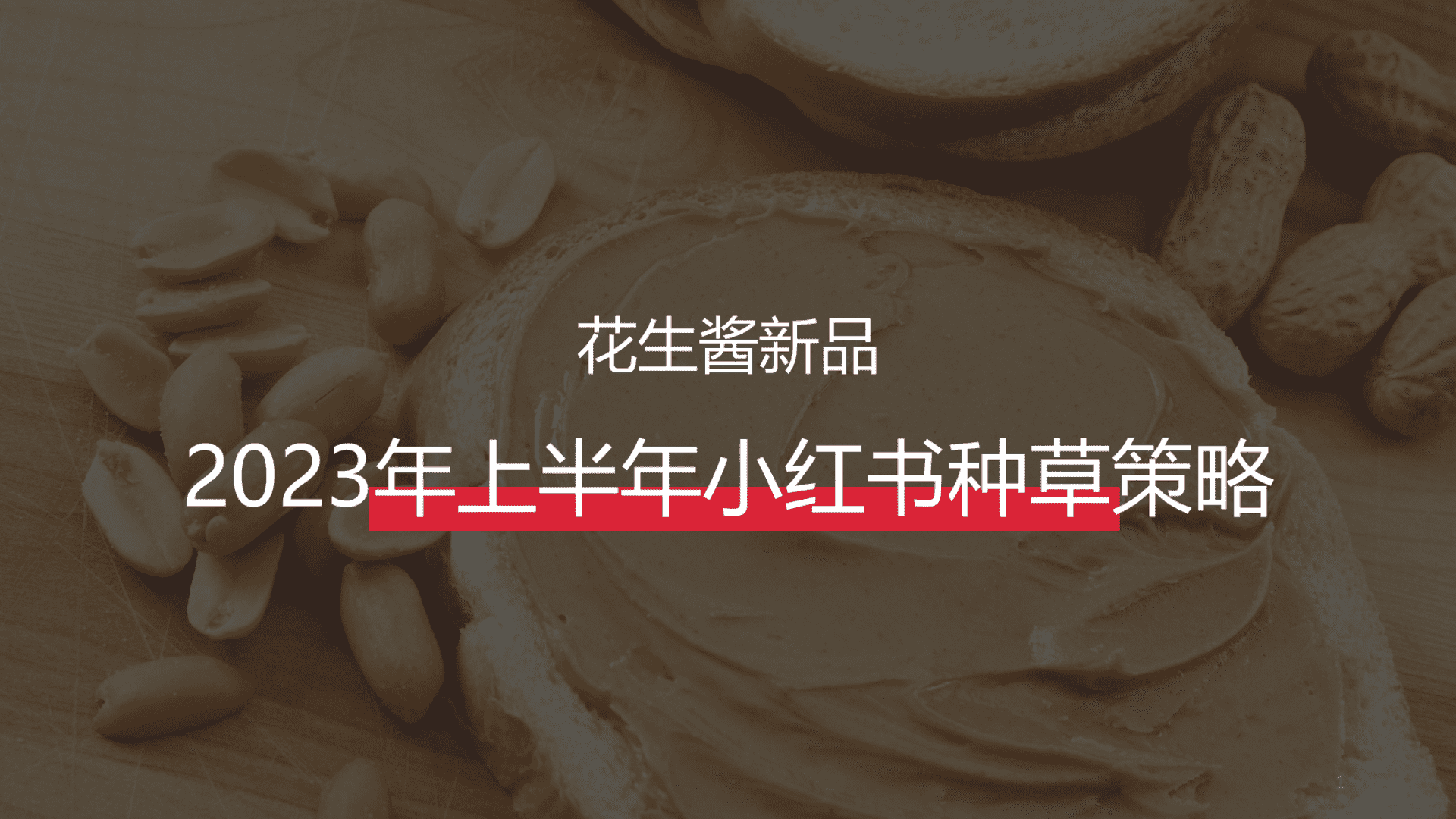 2023上半年小红书种草策略佐餐花生酱投放执行策略方案