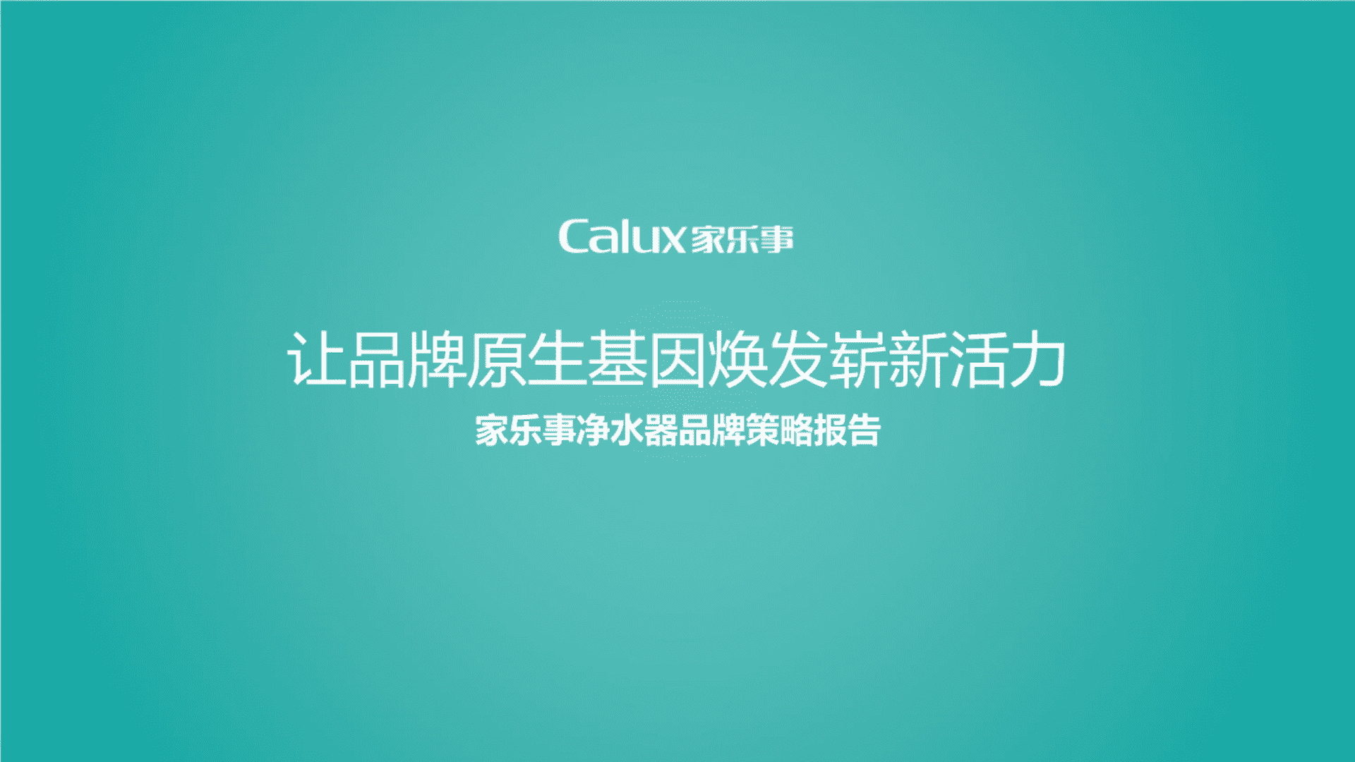 家乐事净水器品牌策略方案