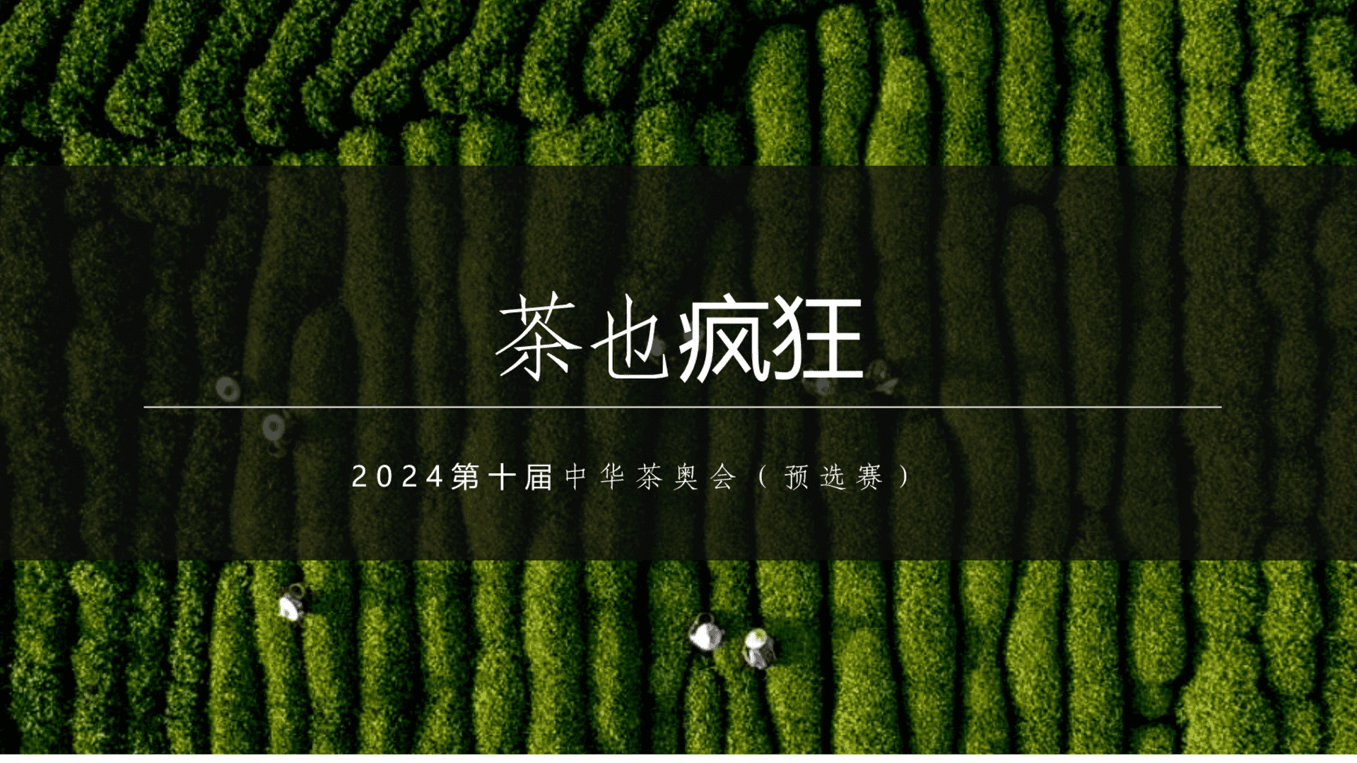2024第十届中华茶奥会“茶也疯狂”活动策划