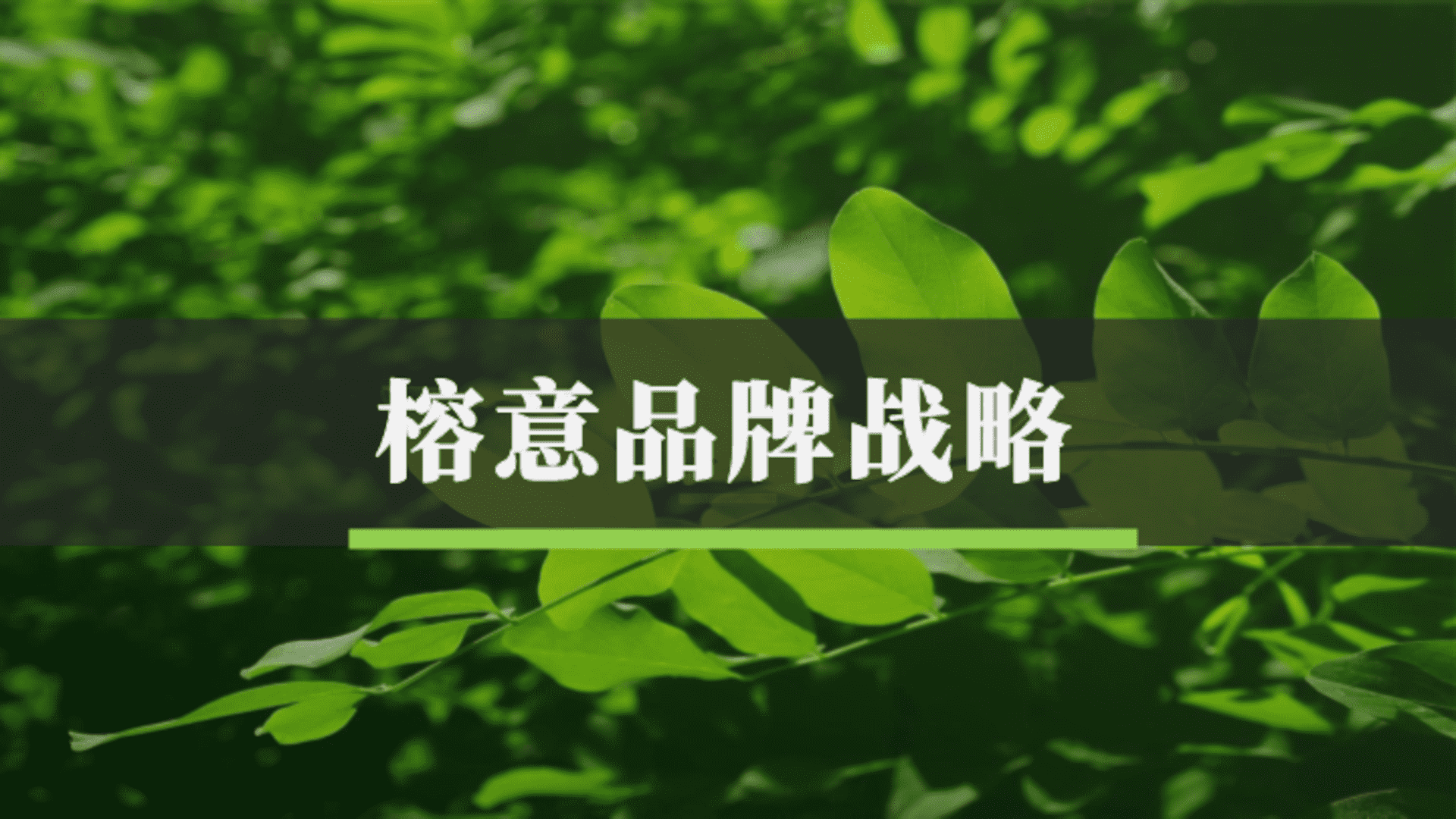 榕意餐饮品牌战略方案