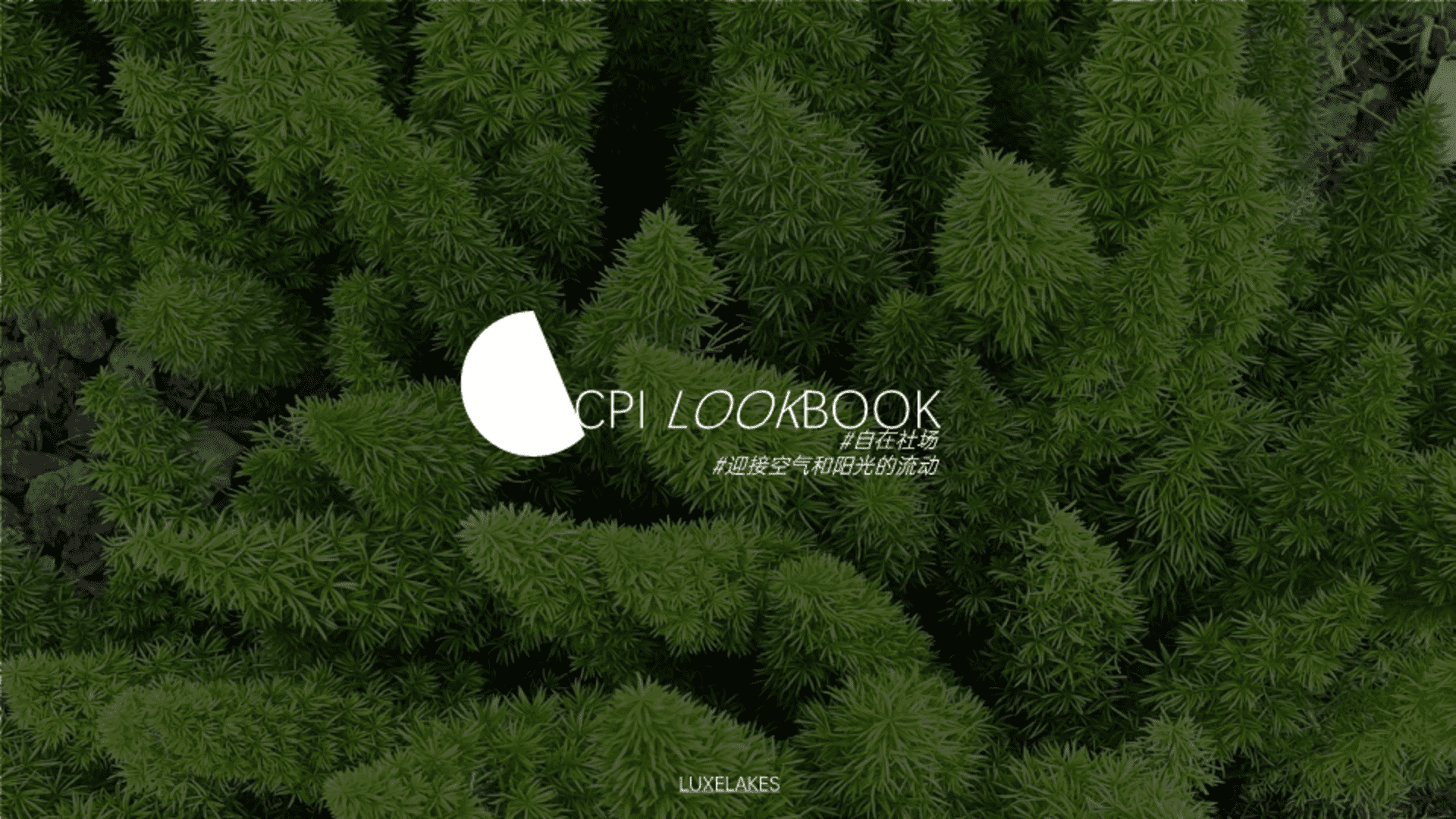 成都麓湖CPI品牌手册