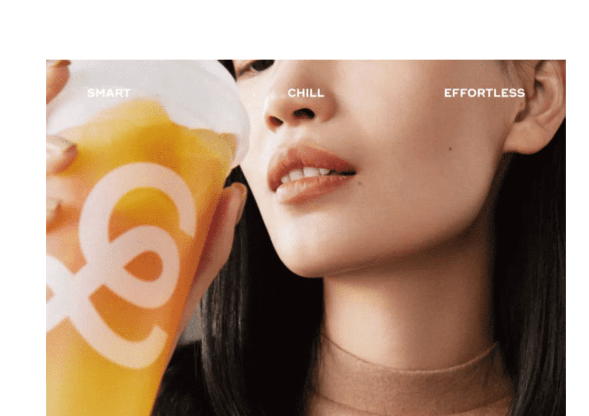 gaga鲜语品牌手册