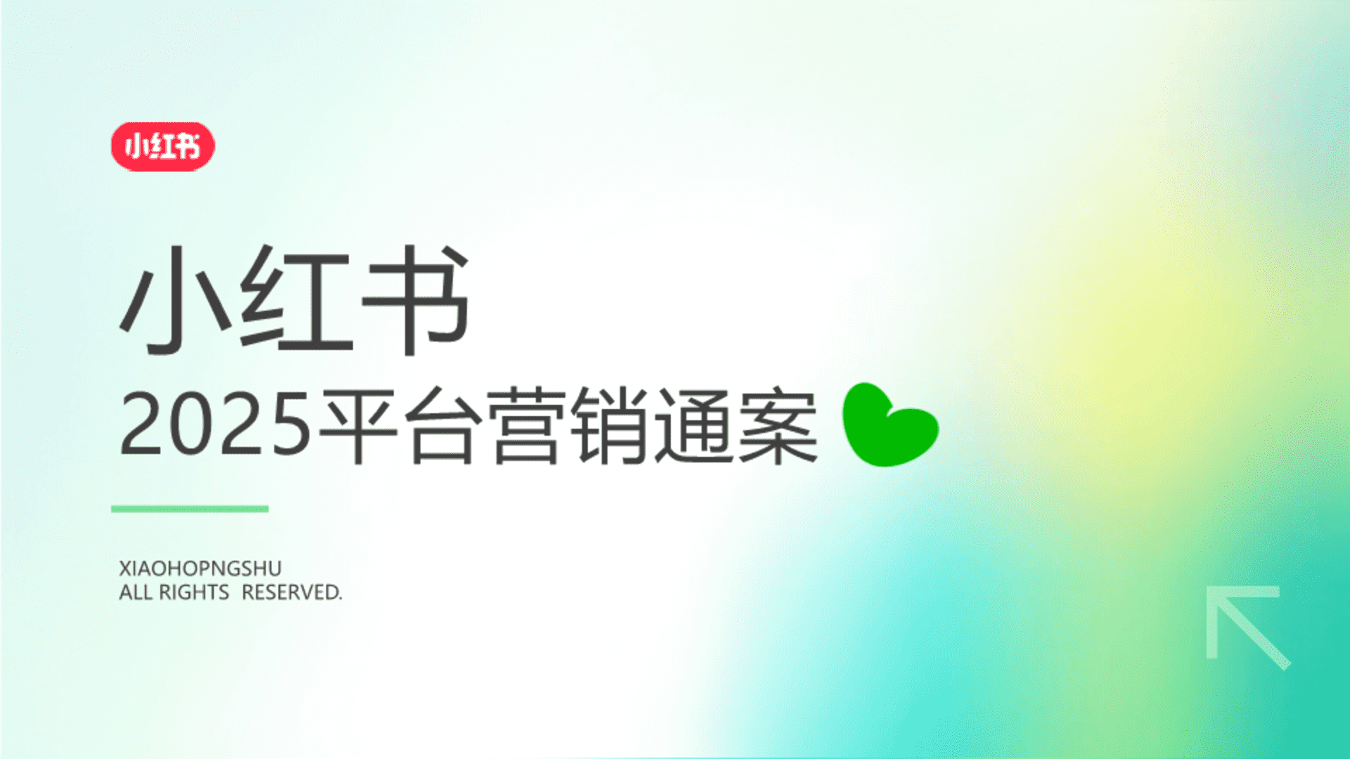 2025小红书平台营销通案 - 方案库