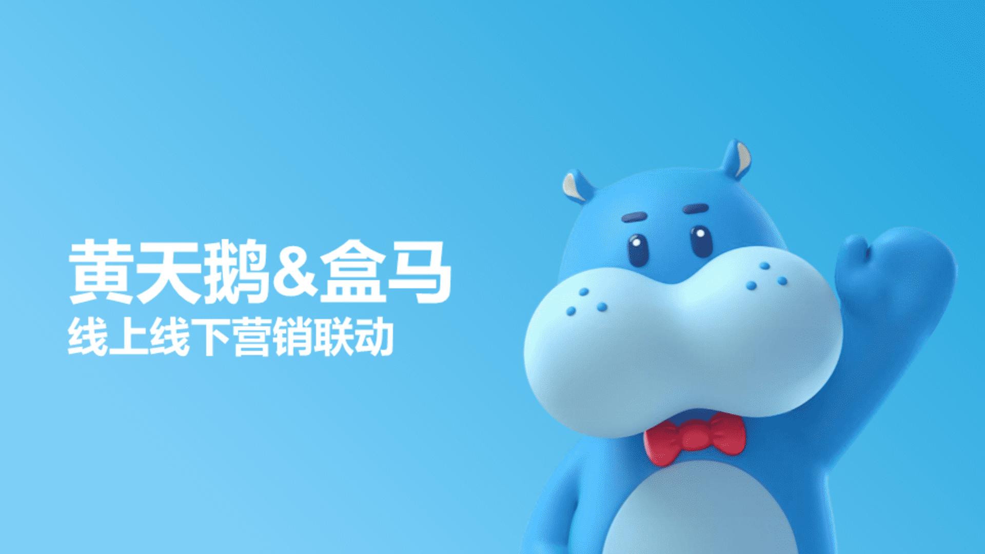 黄天鹅&盒马线上线下营销联动方案