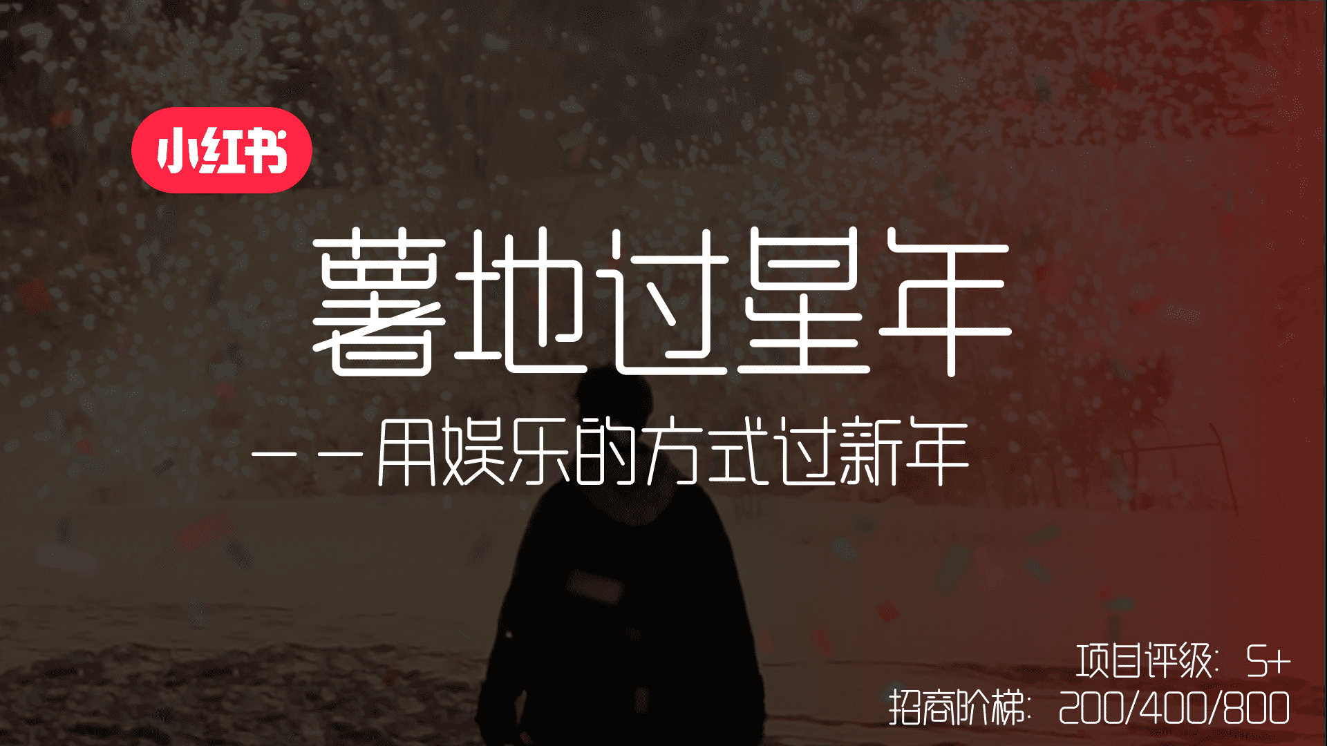 2025小红书薯地过星年营销通案