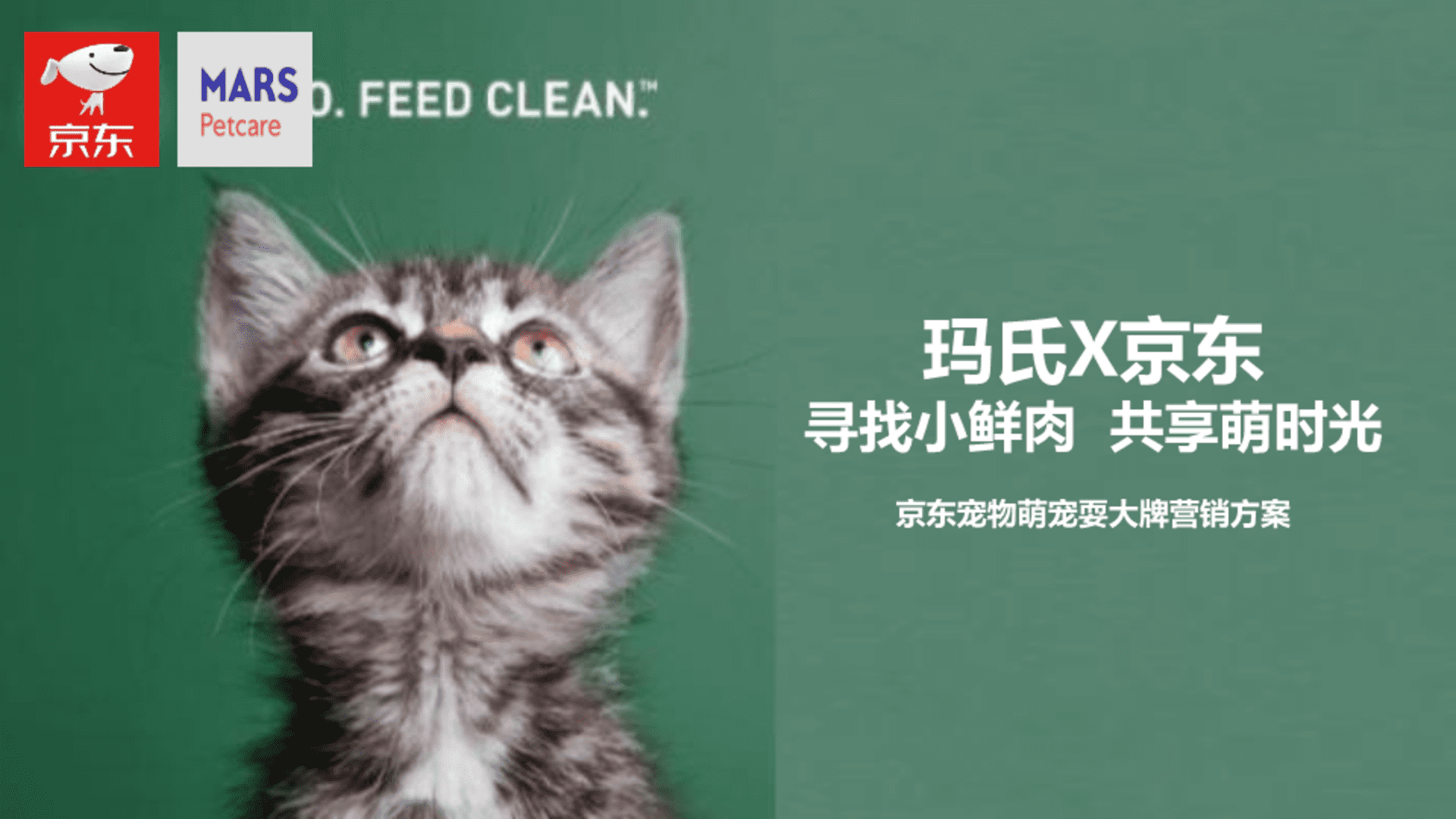 玛氏×京东宠物耍大牌营销方案