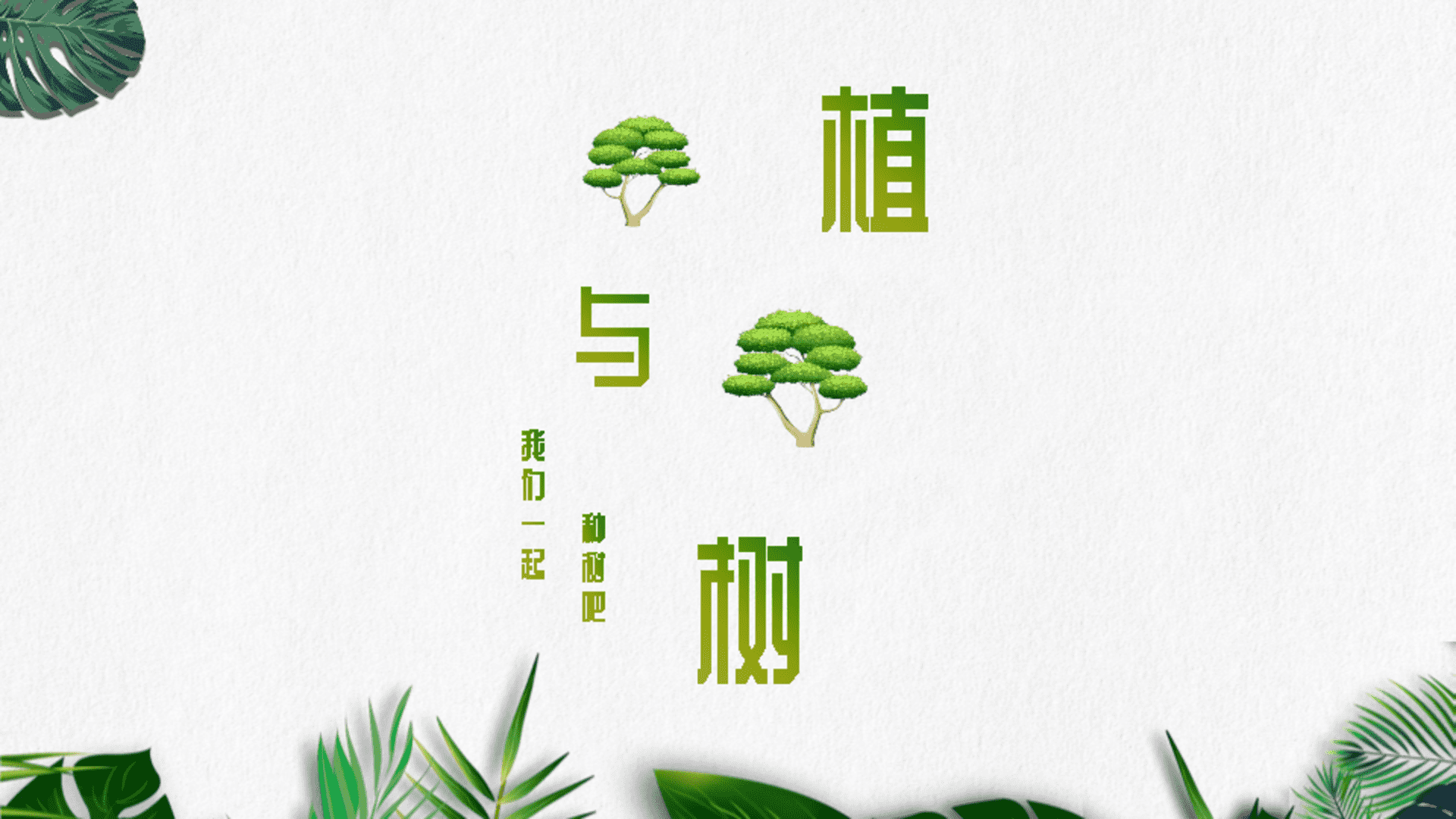 植与树音乐西餐吧品牌简介