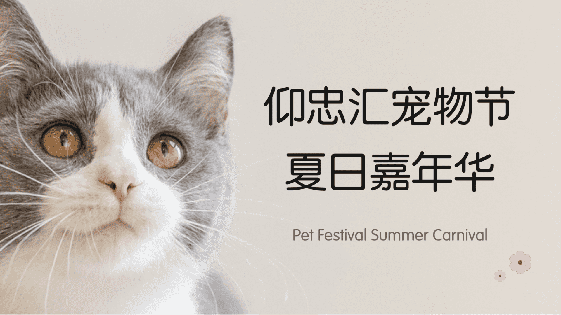 仰忠汇宠物节夏日市集嘉年华活动方案