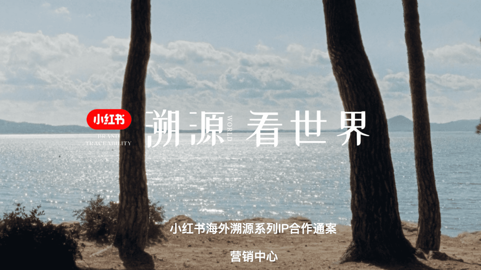 2024小红书溯源看世界IP招商