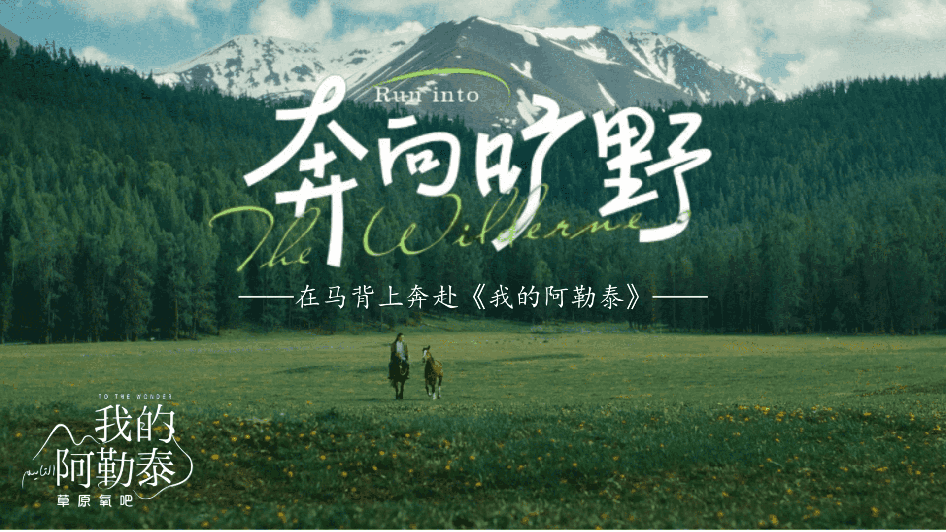 2024奔向旷野《我的阿勒泰》同款团建文旅活动策划案