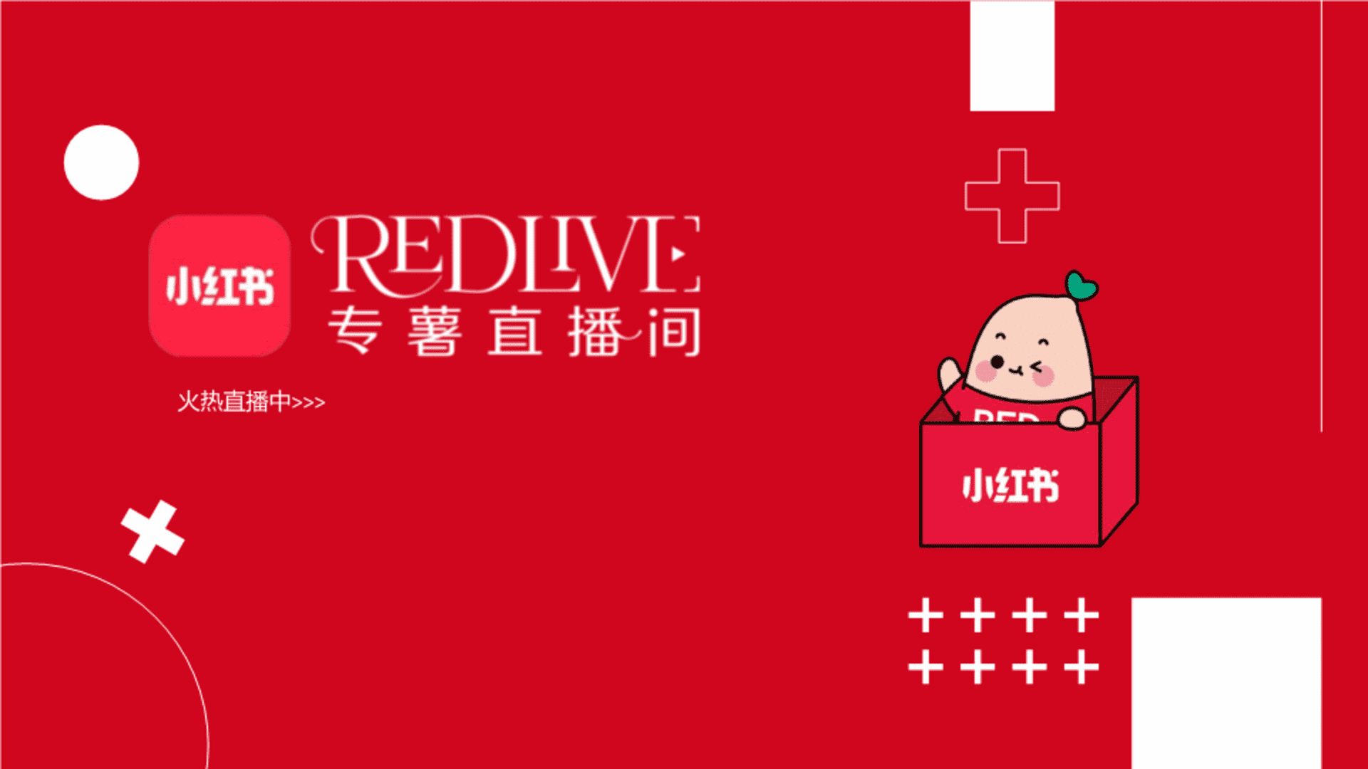 2024小红书REDlive专薯直播间招商通案