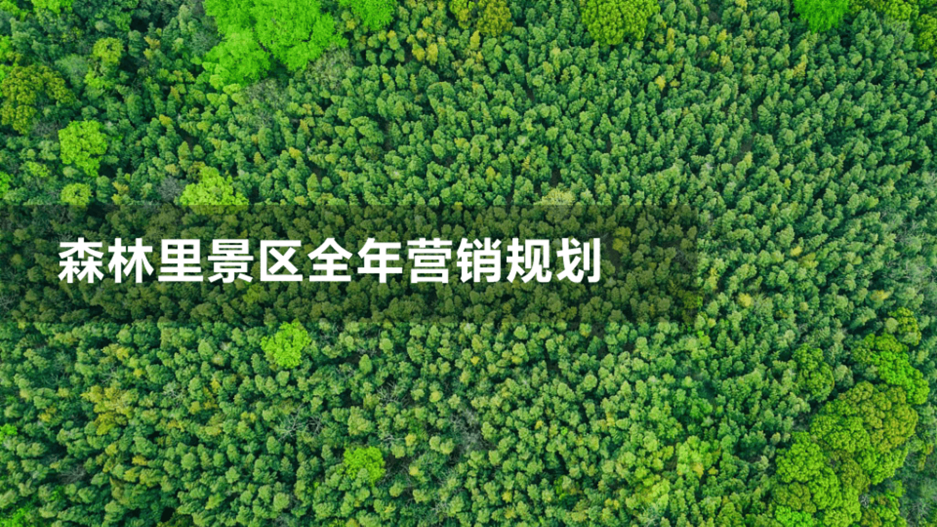 森林里景区全年营销规划