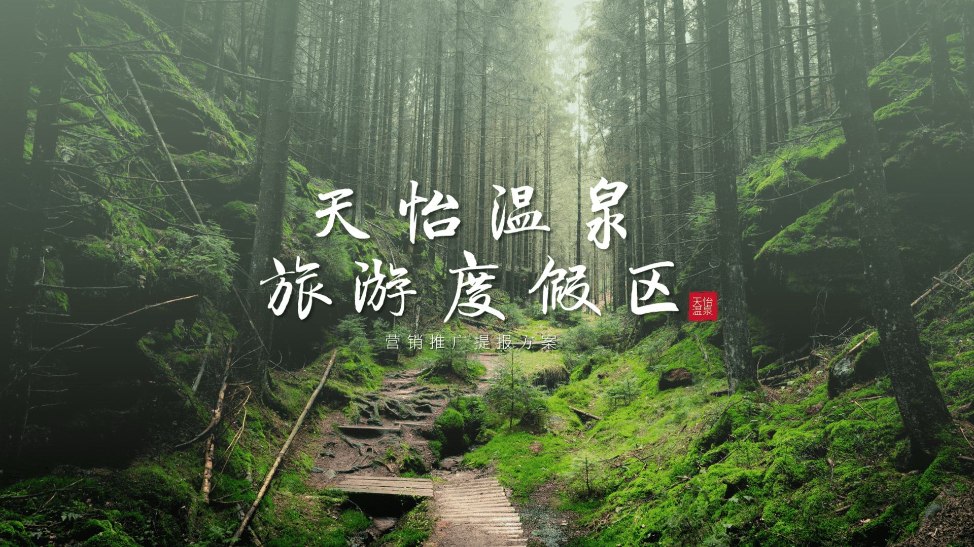 2024天怡温泉旅游度假区营销推广提报方案