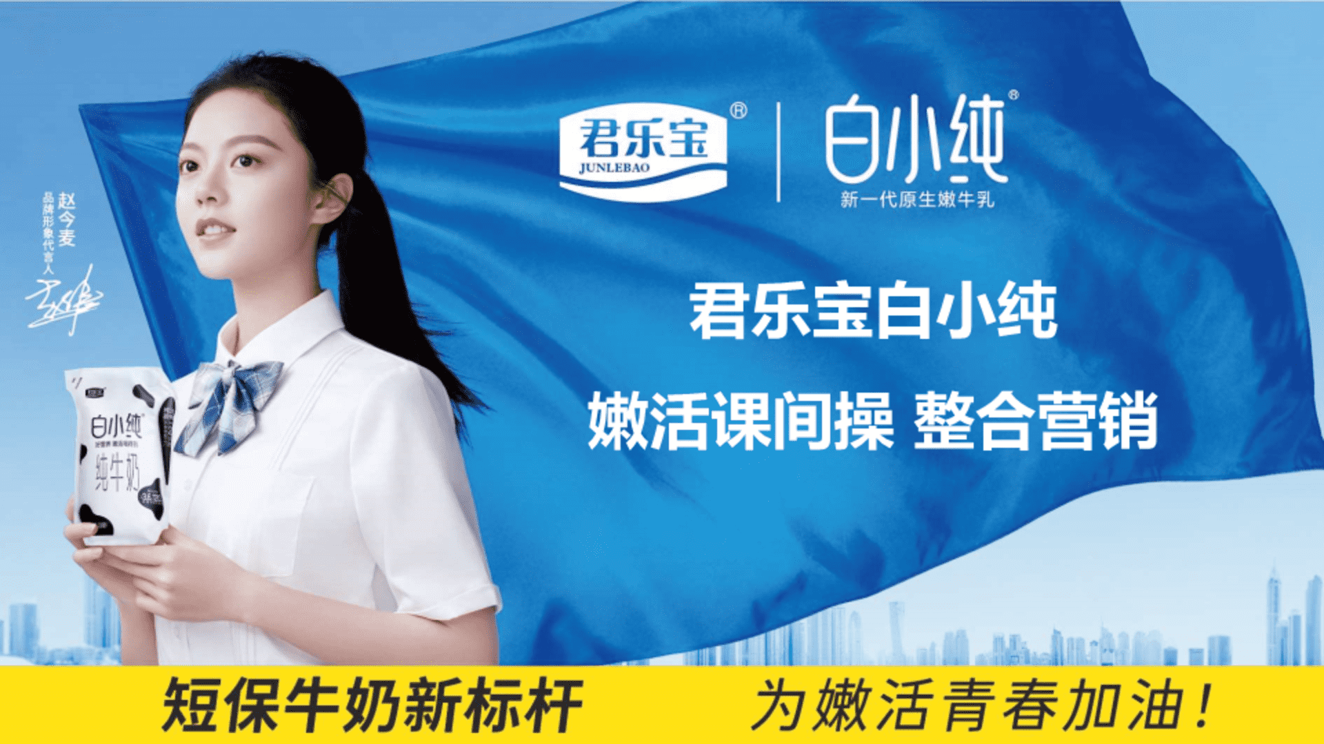 君乐宝白小纯整合营销方案