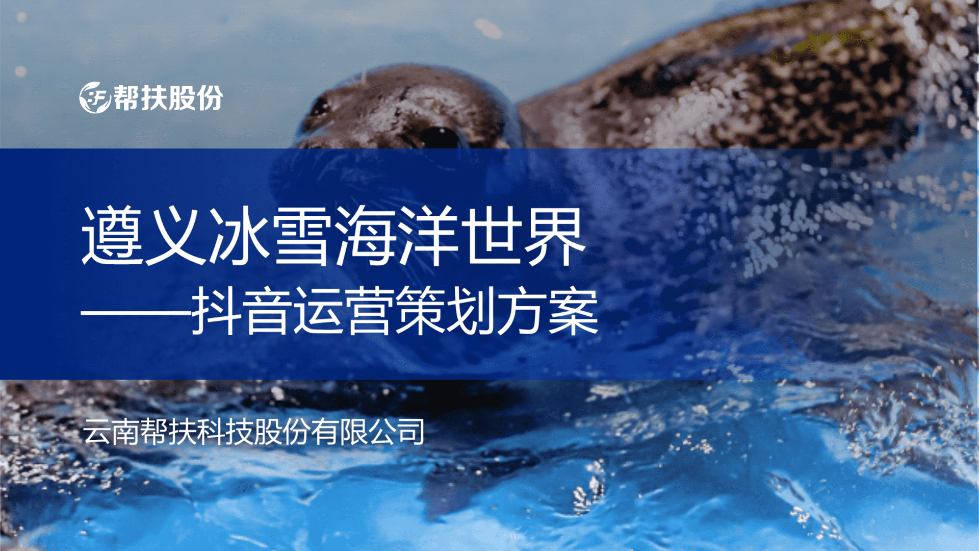 2024帮扶股份&遵义冰雪海洋世界运营策划案