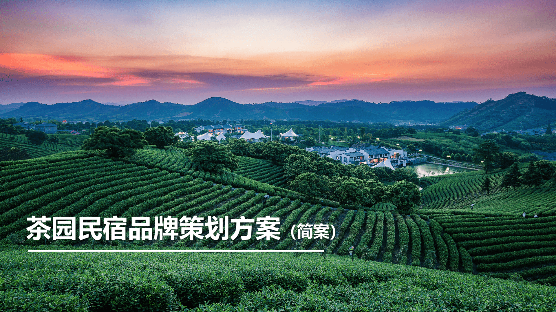 茶园民宿文旅整合营销方案