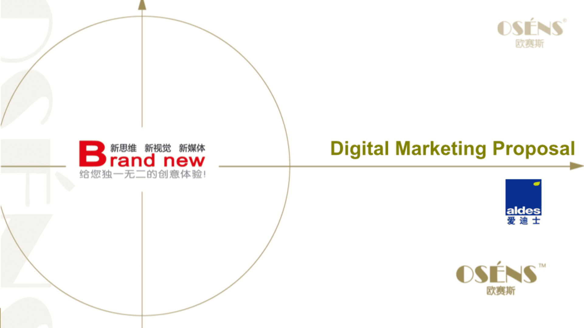 Aldes China Digital Marketing Strategy