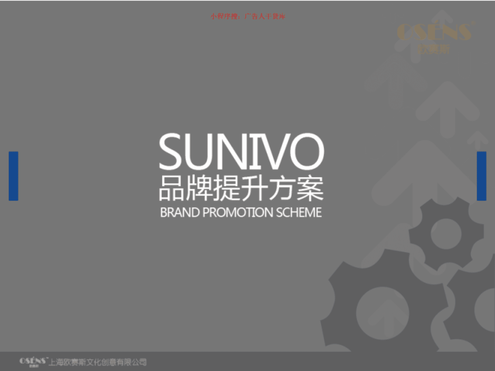 欧赛斯-Sunivo品牌战略规划手册