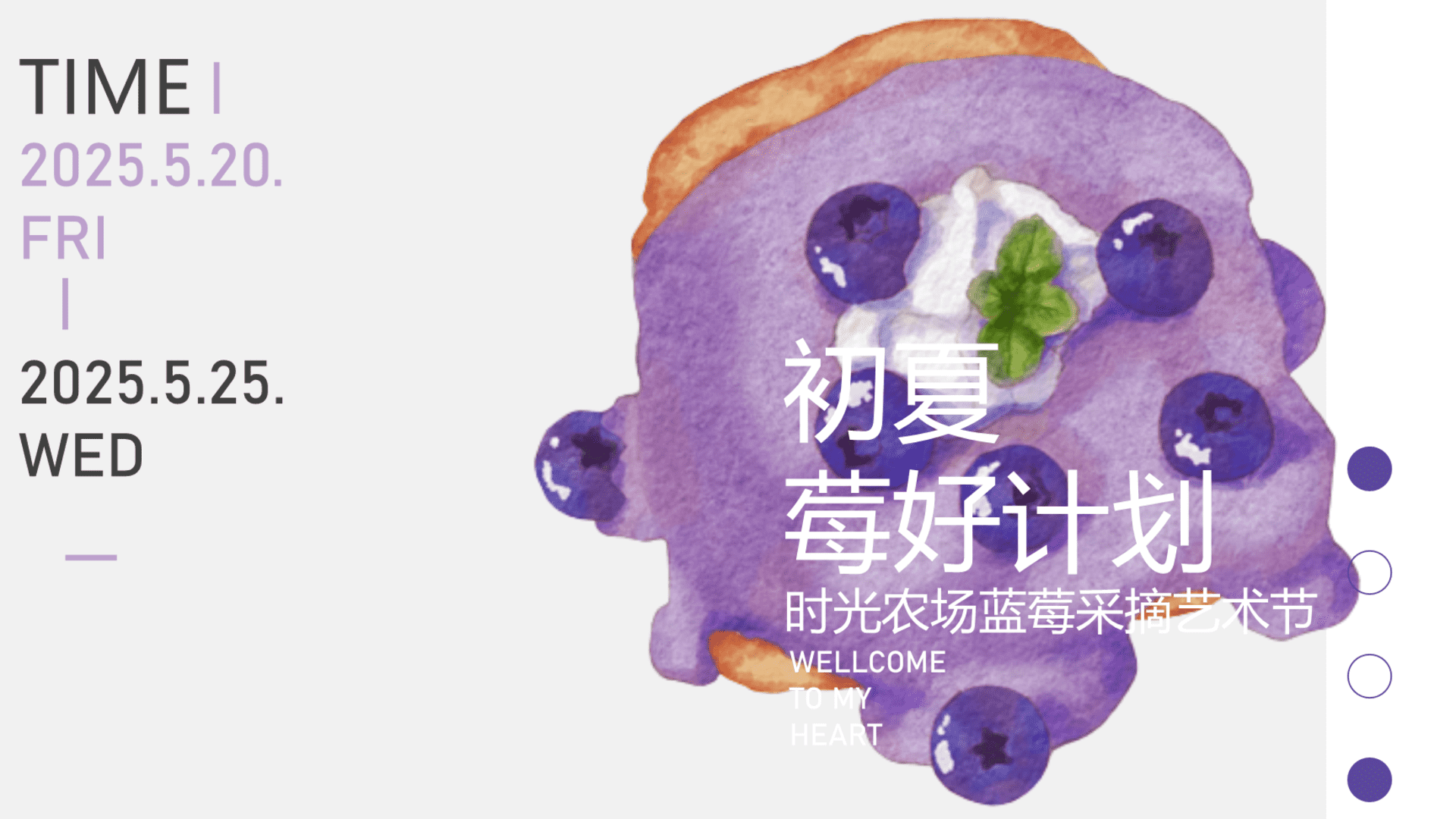 2025初夏莓好计划安徽时光生态农业夏季户外蓝莓采摘节活动方案