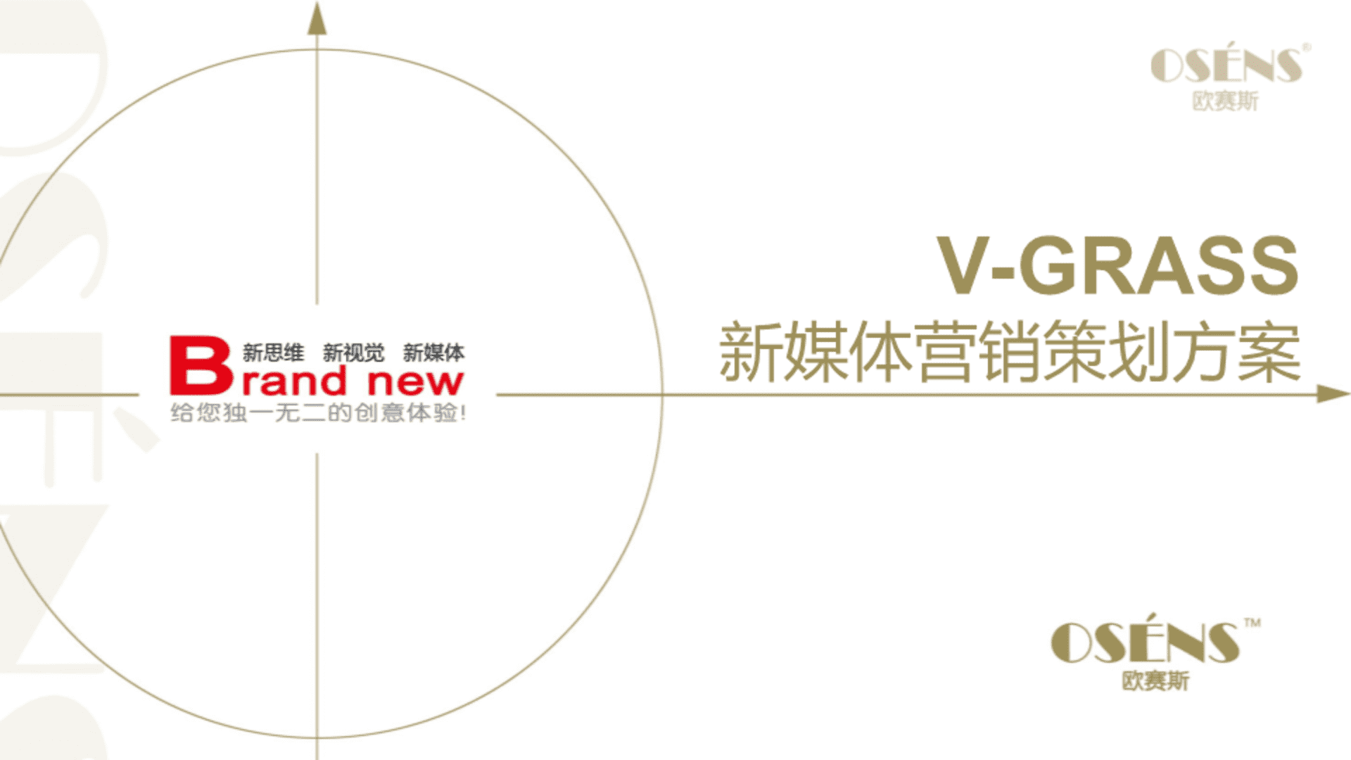 欧赛斯-V-GRASS新媒体营销策划案【4A】
