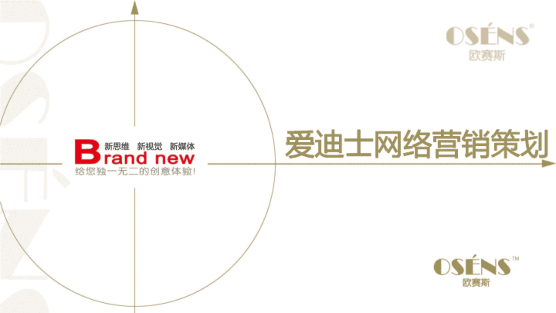 欧赛斯爱迪士网络整合营销策划方案